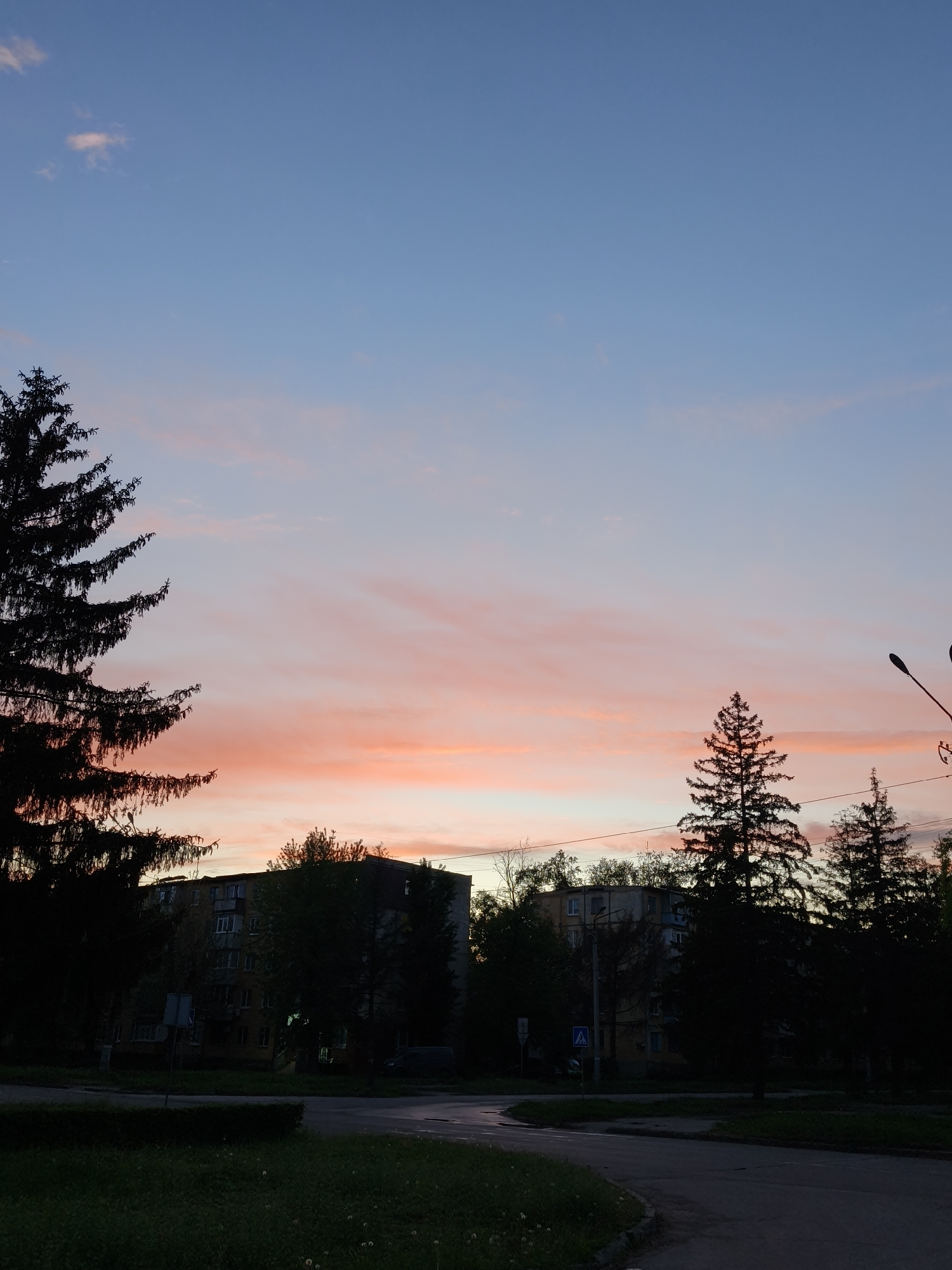 The image shows a dusk or dawn scene in Kryvyi Rih, Ukraine. The sky transitions from blue to orange-pink near the horizon, with scattered clouds. Silhouetted evergreen trees are present on the left and right sides of the frame. Several multi-story buildings are visible through the trees, also silhouetted. A street corner and adjacent grassy area are in the foreground. A pedestrian crossing sign is visible near one of the buildings. Lampposts are on the right side.