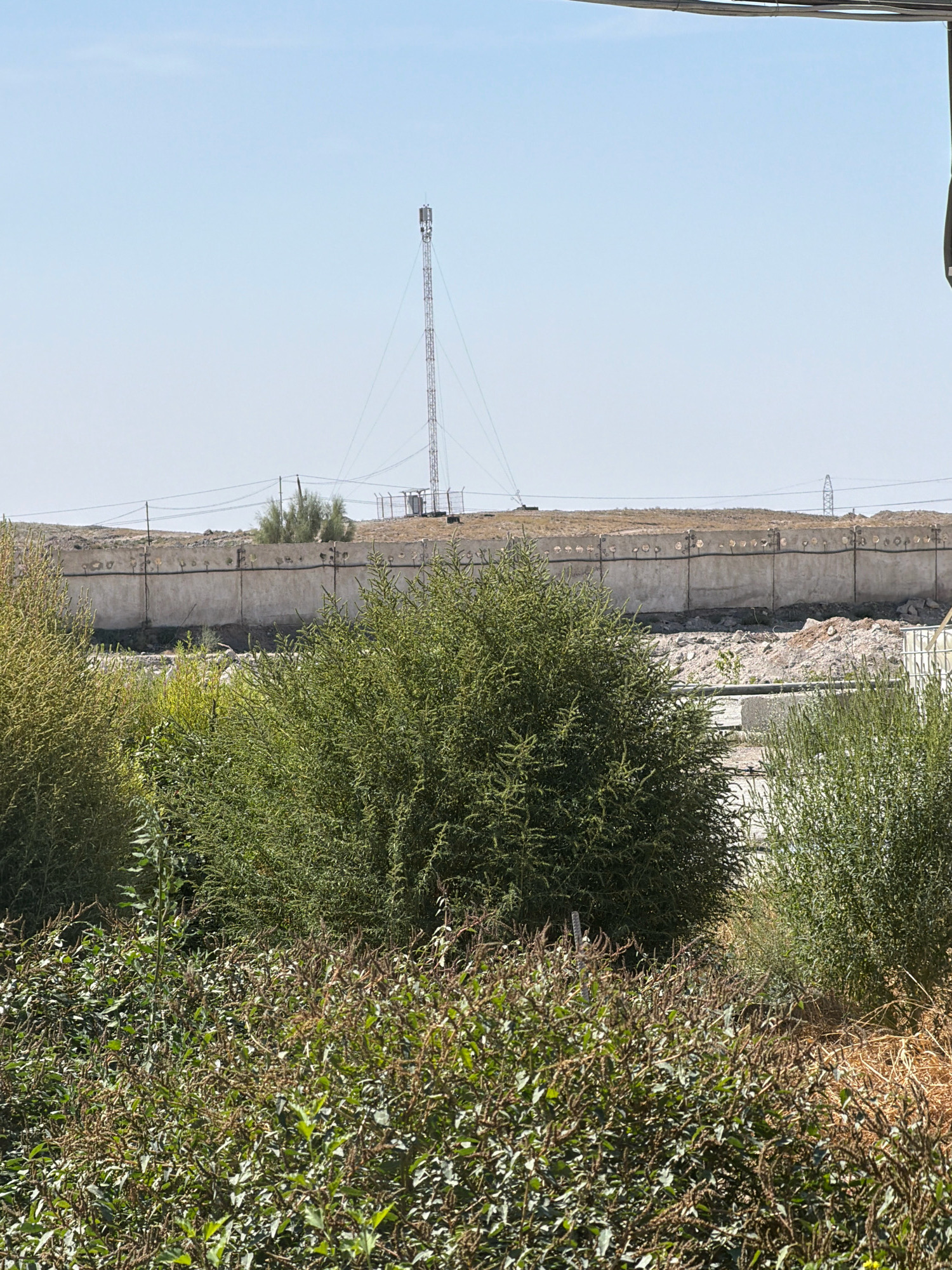 The image depicts a telecommunications tower situated behind a low concrete barrier in a semi-arid environment. The tower, a tall lattice structure with antennas at its apex, is prominent against a pale blue sky. In the foreground, several bushes and dry grasses are visible, suggesting a dry climate. The concrete barrier appears weathered and shows signs of damage, with circular indentations along its top. The overall scene suggests an industrial or infrastructure area, possibly on the outskirts of a settlement. The location is identified as Besapan, Uzbekistan.