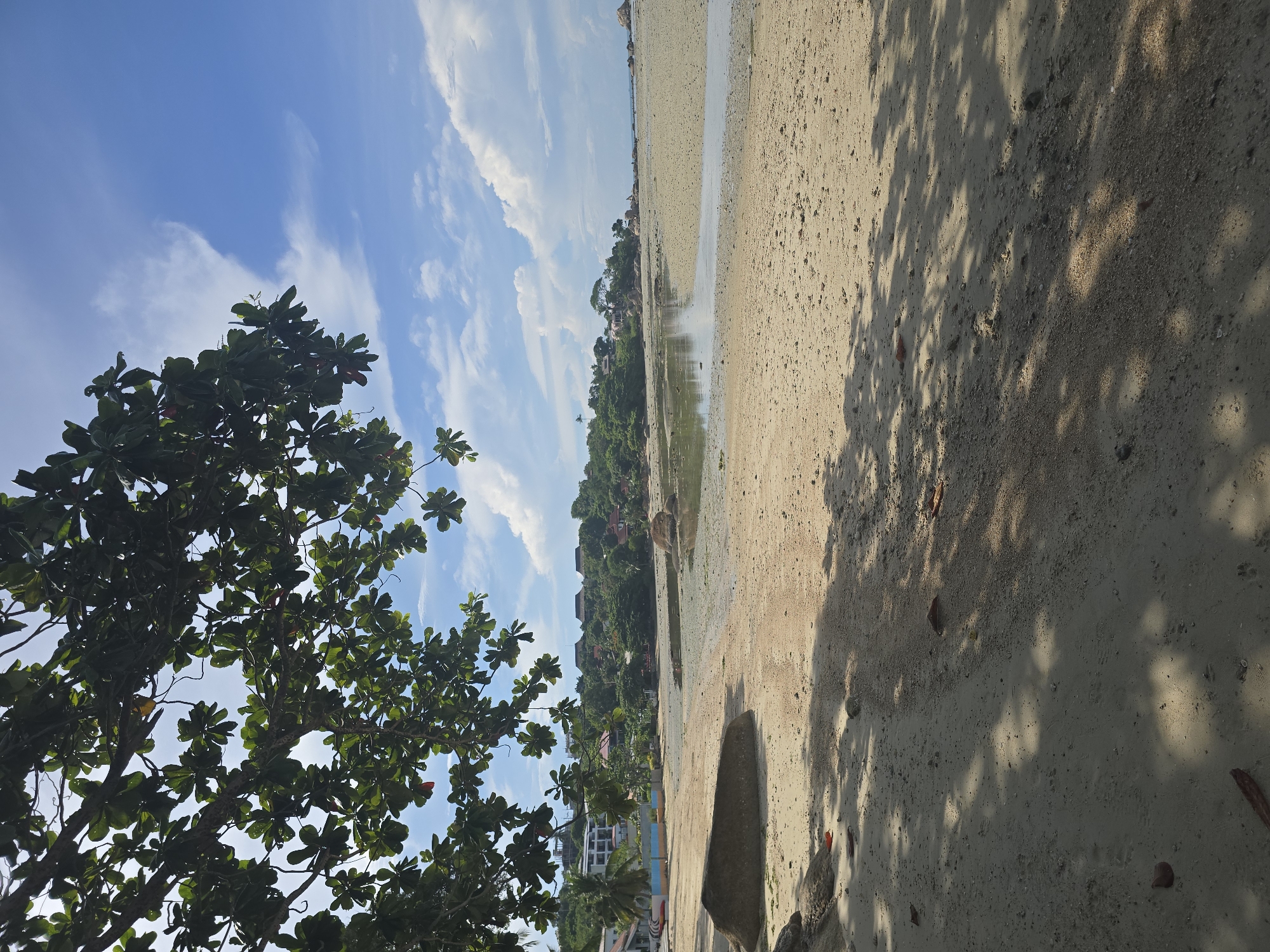 A sunny, wide-angle shot of a beach with a low tide in Baan Chaweng Noi, Thailand. The foreground is dominated by wet sand, marked with tree shadows and scattered leaves. A large, smooth boulder is visible on the left. The mid-ground features a shallow, tranquil body of water reflecting the sky, with more sand and scattered rocks on the far side. In the background, a lush, green hillside is dotted with buildings and palm trees. The sky is a vibrant blue, with scattered white, puffy clouds. Overhanging the top left of the frame is a branch of a tree with dark green leaves. No people are present in the image.