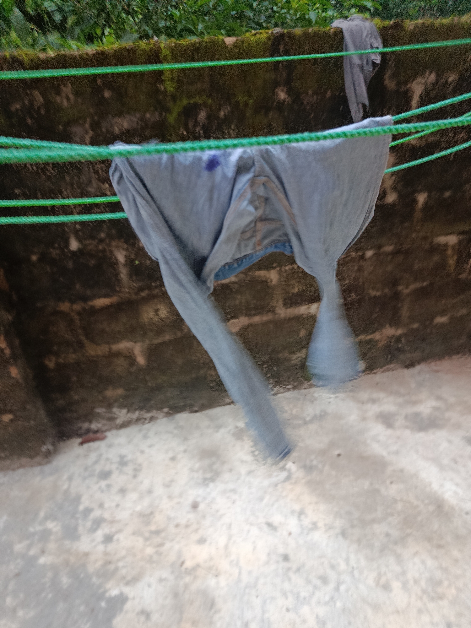 A pair of blue denim jeans is hanging on a clothesline. The jeans are wet and appear to be drying. The clothesline is made of green rope and is strung between two points, possibly on a balcony or an outdoor drying area. Behind the clothesline, there is a brick wall that is covered in moss and vines. The ground below the clothesline is a concrete surface. The scene is outdoors, with some greenery visible in the background. The lighting suggests it is daytime, with diffused light indicating it might be overcast or late afternoon. The image is taken from a slightly low angle, looking up at the hanging jeans. The location is identified as Ukpor, Nigeria, suggesting a warm and possibly humid climate conducive to clothes drying outdoors.
