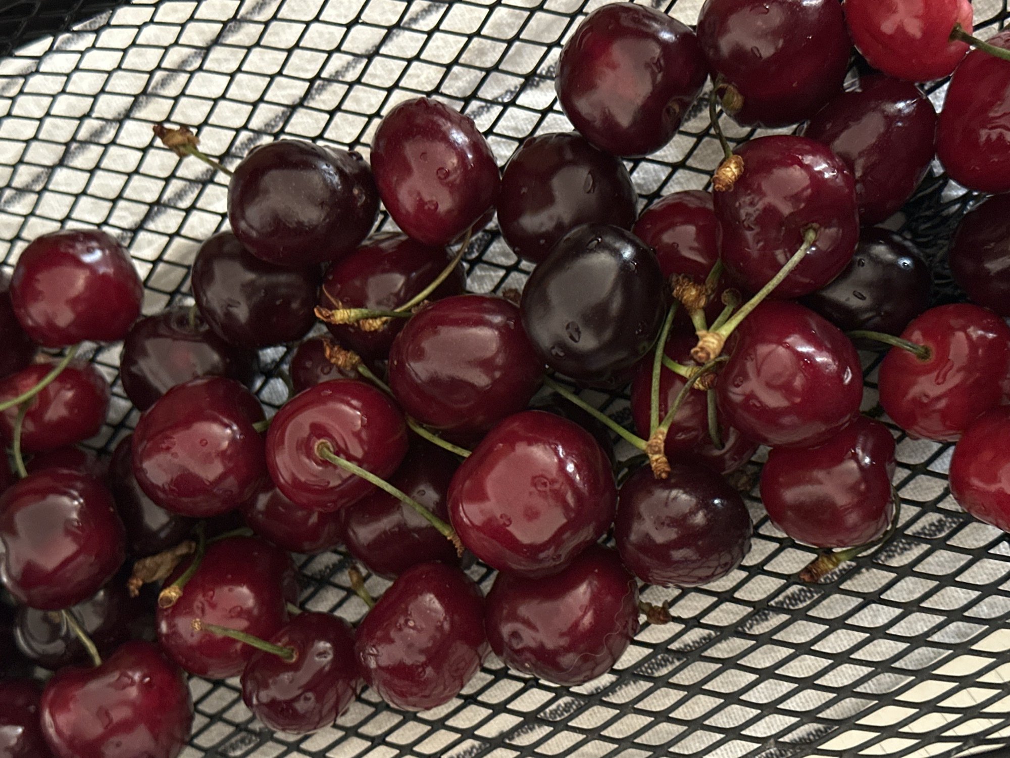 A close-up shot of a pile of ripe, dark red cherries with stems, sitting in a black wire basket. The cherries have a glossy sheen, possibly from being freshly washed. The background is a blurred white surface with what appears to be a subtle pattern. The image suggests a domestic setting. The location cannot be determined from this image alone.