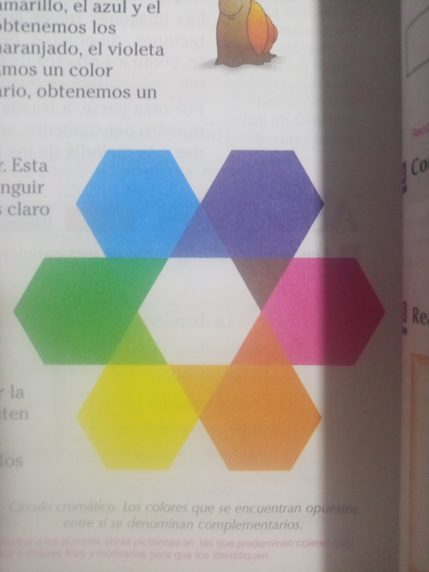 This is a photograph of a page from a book, likely an educational text for children, discussing colors. The dominant visual element is a color wheel represented by overlapping hexagons. The hexagons display primary and secondary colors such as blue, purple, pink, orange, yellow, and green. Some text is visible on the left side of the page, discussing color mixing and relationships, with phrases like "amarillo, el azul y el" (yellow, blue and) and "Circulo cromático" (chromatic circle). On the right side of the page, there is some text in a larger font, possibly headings or section titles, including "Co" and "Rea". In the top right corner of the image, there is a small, cartoonish illustration of a snail or slug-like creature with a brown and orange shell. The overall setting appears to be indoors, with the book resting on a surface. The lighting suggests it might be daytime, but no specific time of day can be determined. There are no people or specific location cues beyond the text which could be Venezuelan based on the prompt. The mood is educational and informative.