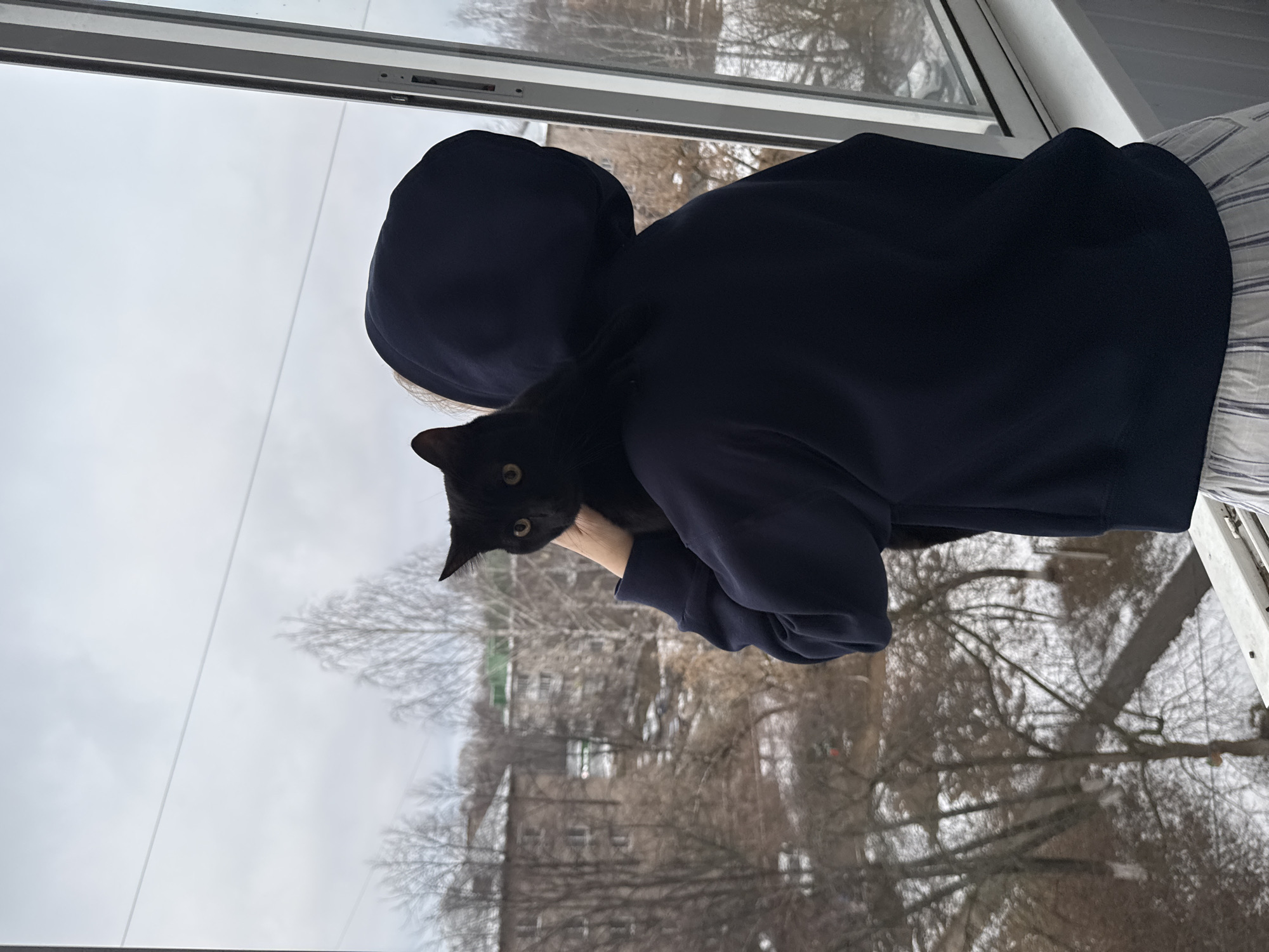 A person wearing a dark blue hooded sweatshirt holds a black cat in front of a window. The person's hood is up, obscuring their face. The cat is looking at the camera. Outside the window, bare trees are visible, as well as buildings covered in snow. The location appears to be Chaikovsky, Russia, based on the style of the buildings and the wintry environment.