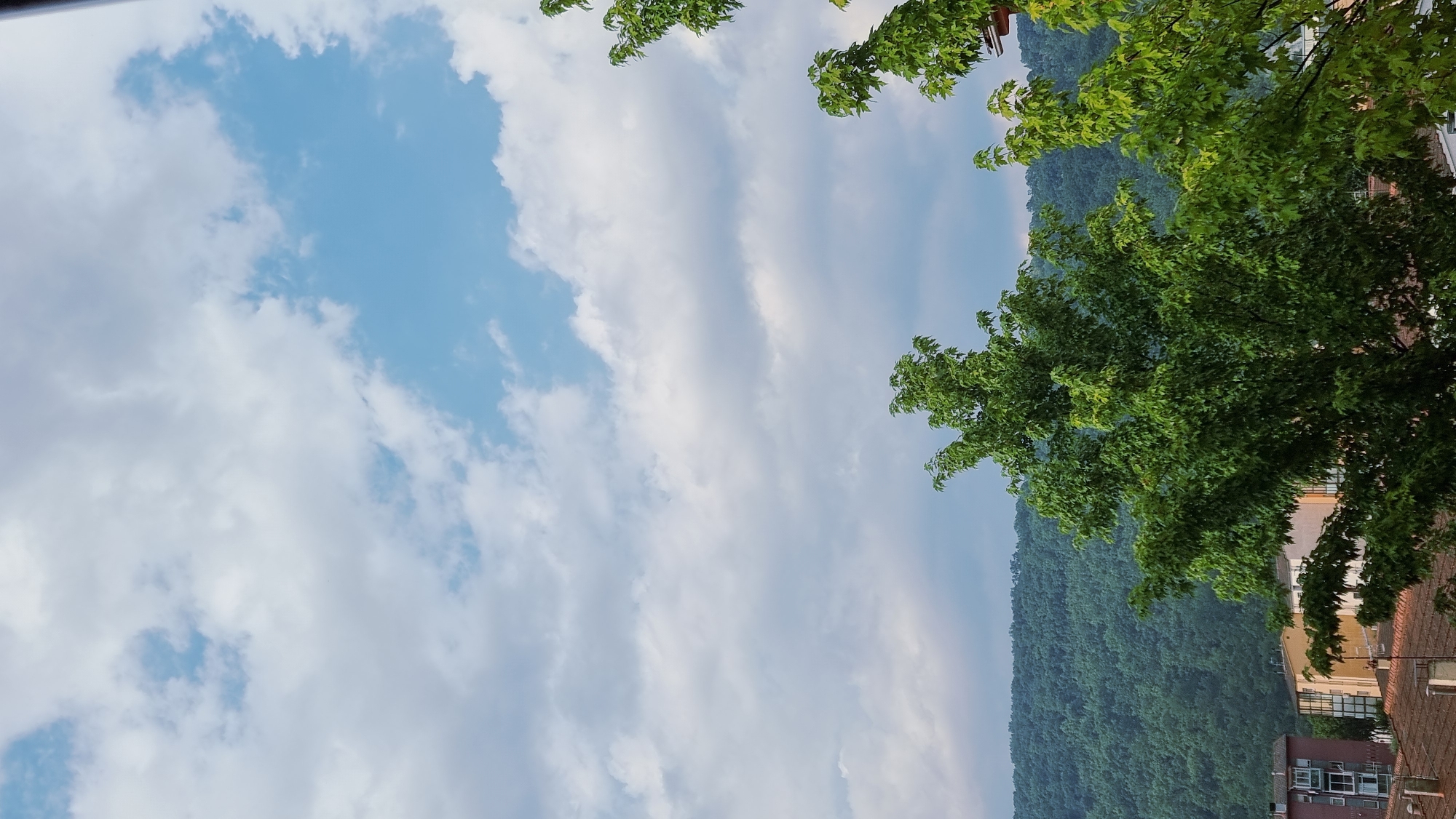 The image depicts a view from an elevated position, likely a balcony or window, looking out over a town and a forested hillside under a partly cloudy sky. In the foreground, lush green trees with full canopies dominate the frame. To the left and slightly lower in the frame, the rooftops of buildings are visible, with one building having a reddish-brown tiled roof and another featuring a lighter-colored tiled roof. Partially visible are the facades of several apartment buildings, one predominantly pink and white, and another with yellow and white sections. These buildings appear to be in a residential area.
Beyond the buildings and trees, a dense, green hillside covered in trees stretches across the mid-ground. The texture of the foliage suggests a mixed deciduous forest. The sky above is a mix of blue patches and scattered white and gray clouds, indicating a dynamic weather condition. The overall impression is a semi-urban landscape integrated with nature. The specific location in Sant Joan Les Fonts, Spain, is not explicitly evident from the visual elements of the image itself, but it is provided as context. There are no people visible in the scene.