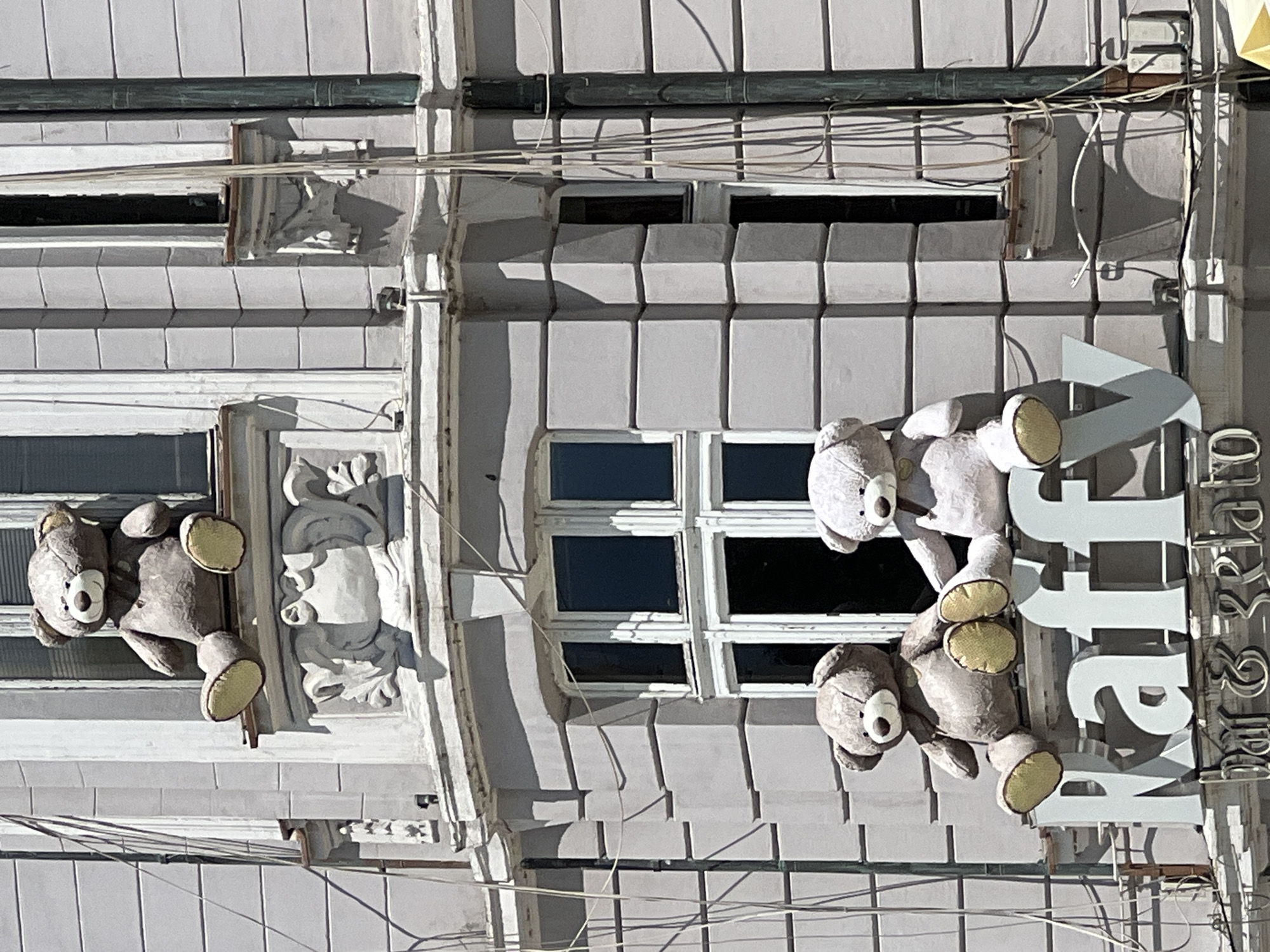 The image shows a building facade in Plovdiv, Bulgaria, adorned with teddy bears and signage. Two teddy bears are prominently displayed, one white and one brown, appearing in front of a sign that reads "Kaffe & Bar." The building has a grey-toned exterior with multiple windows and architectural details such as ornamental moldings. Electrical wires run across the front of the building. The photograph appears to be taken during daylight.