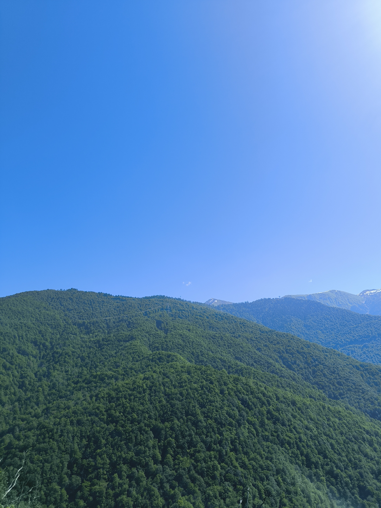 The image captures a panoramic view of lush green mountains under a clear, bright blue sky. The foreground features densely forested slopes, with the trees appearing as a vibrant, textured carpet. As the eye moves further into the distance, the mountains become less distinct, fading into a hazy blue silhouette. Some of the further peaks show hints of snow on their summits, suggesting a higher altitude. A thin, linear structure, possibly a cable car line or power line, can be seen stretching across one of the mountains. The overall impression is one of natural beauty and vastness, with the clear sky emphasizing the expansive landscape.
