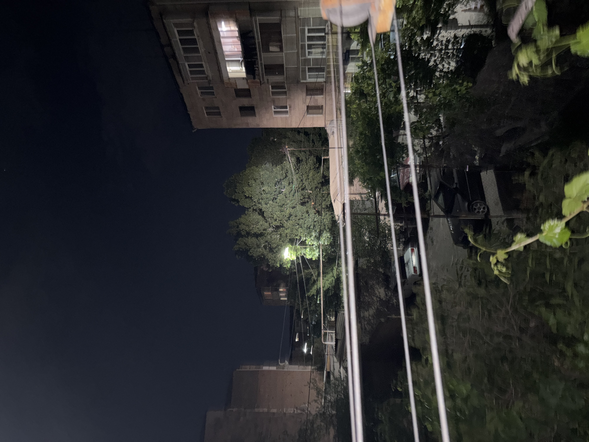 The image presents a nighttime scene of a residential area in Vagharshapat, Armenia. The dark sky indicates late hours, with artificial lighting illuminating parts of the environment.
On the left side of the frame, a multi-story building, likely an apartment block, is prominent. Several windows on different floors are brightly lit, suggesting occupied residences. The building's facade appears aged.
The midground and right side of the image are densely populated with large, leafy green trees. A bright streetlight is positioned within the canopy of a central tree, casting a strong, yellowish glow on the surrounding foliage. Beneath the trees, outlines of parked vehicles, including what appears to be a car, are faintly discernible in the shadows.
In the immediate foreground, running horizontally across the right side of the frame (when oriented correctly), are several thin, parallel white or light-colored wires or cables. These could be utility lines or clotheslines, extending from an unseen point off-camera. Some blurred green foliage is also visible in the extreme right foreground.
The scene conveys a quiet, typical nighttime atmosphere of an urban or semi-urban street. There are no people visible, and no specific events or activities are occurring. No discernible text is present in the image.