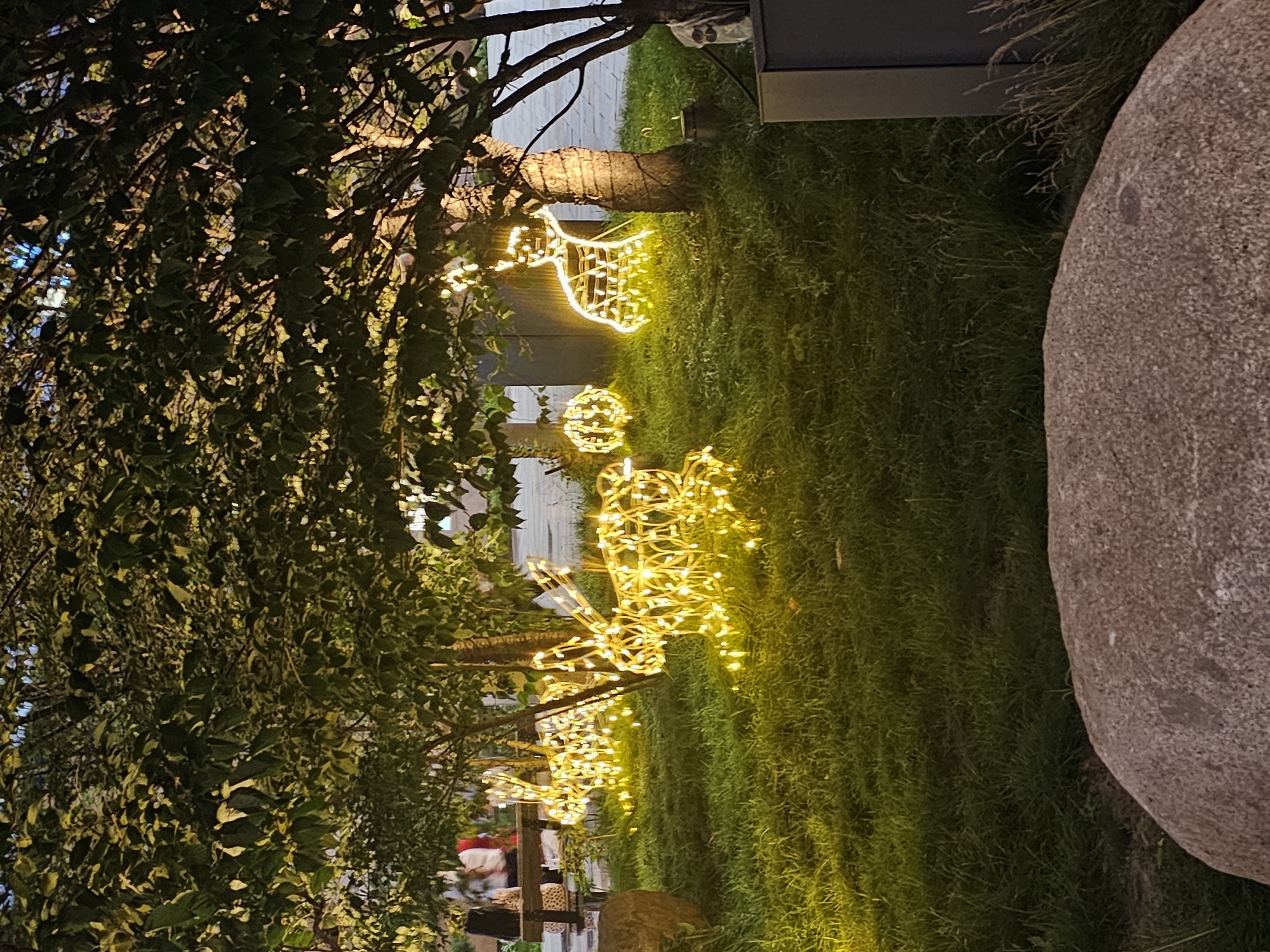 The image depicts an outdoor scene at dusk, likely in a park or public space in Vladivostok, Russia. The foreground is dominated by a large, rough-textured boulder. Behind the boulder, a meticulously manicured lawn is illuminated by a warm, golden glow emanating from a series of festive light decorations. These decorations take the form of wireframe animals, resembling rabbits or deer, outlined with numerous small, bright yellow lights. Some circular light formations, possibly representing orbs, are also present.
These illuminated figures are strategically placed amongst young trees, whose leaves are visible and tinged by the artificial light, creating an enchanting, almost magical atmosphere. The branches of larger trees extend into the upper portion of the frame, casting shadows and adding depth to the scene. In the mid-ground, several people are seated on a bench, partially obscured by the trees and decorations, suggesting a relaxed, social gathering. The background hints at paved walkways and possibly urban structures, though they are out of focus and muted by the low light conditions. The overall impression is one of a thoughtfully decorated urban oasis, designed to enhance the ambiance of an evening outing.
