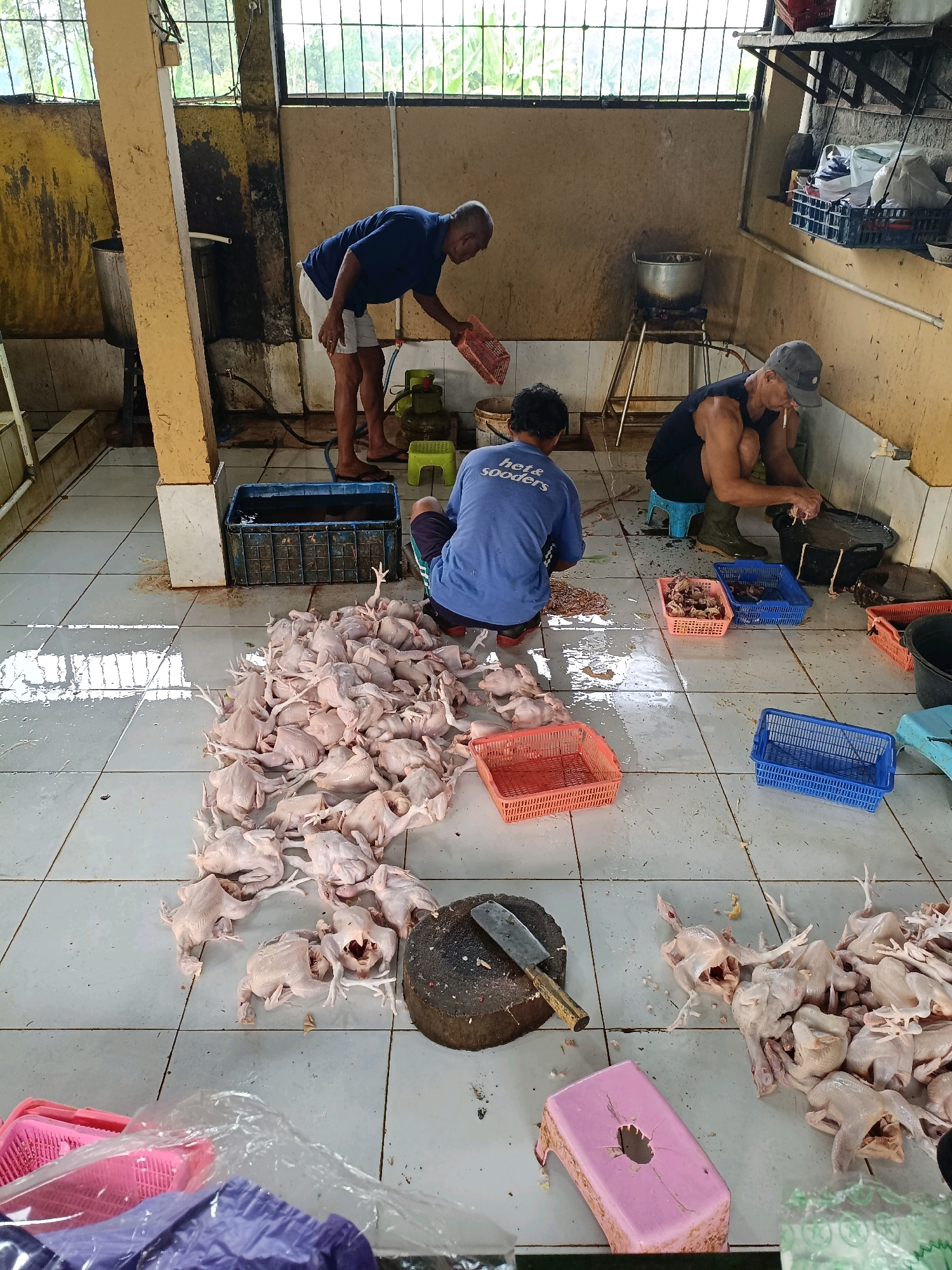 In an open-air facility in Maguwoharjo, Indonesia, three men are engaged in preparing a large quantity of raw chickens. The floor is tiled and wet, suggesting a wet processing environment. In the foreground, a pile of plucked chickens lies on the floor, some partially processed. To the left, a pink plastic basket is visible, and further left, plastic sheeting and what appear to be purple bags are present. A large wooden chopping block with a knife is positioned near the chickens. In the mid-ground, one man in a blue t-shirt with "het & sooders" printed on the back is crouching and working. Another man, wearing a black tank top and a grey baseball cap, is also crouching and actively processing chickens in a black tub. He has a cigarette in his mouth. A gas cylinder and a green stool are near him. In the background, a large metal pot is situated on a stove, and a man in a dark blue shirt and white shorts is standing and reaching into a red basket. The walls appear to be made of concrete block, and a window with metal bars is visible at the top of the frame. The overall environment suggests a commercial or informal food processing operation.