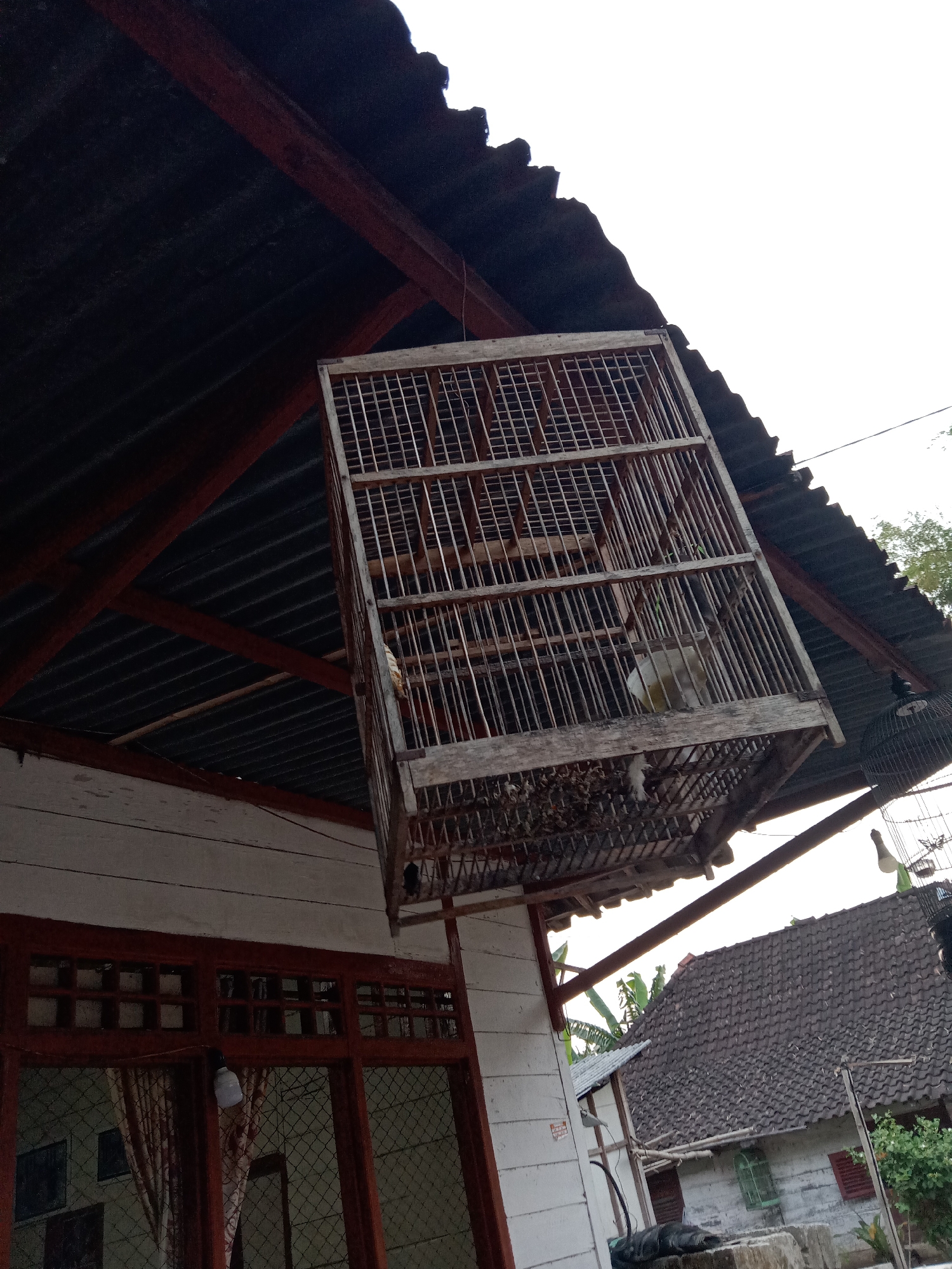 The image depicts an outdoor scene in what appears to be a residential area. A large, old wooden birdcage, containing at least one bird, is suspended from a corrugated metal roof structure. The roof is supported by dark red wooden beams and is attached to a white wooden building with red-trimmed windows. To the right of the birdcage, another, smaller birdcage is visible, also hanging. In the background, a house with a tiled roof and some vegetation can be seen. The overall impression is of a rural or semi-rural environment. The presence of a birdcage suggests the keeping of birds as pets. The context suggests this location is in Jumput, Indonesia.