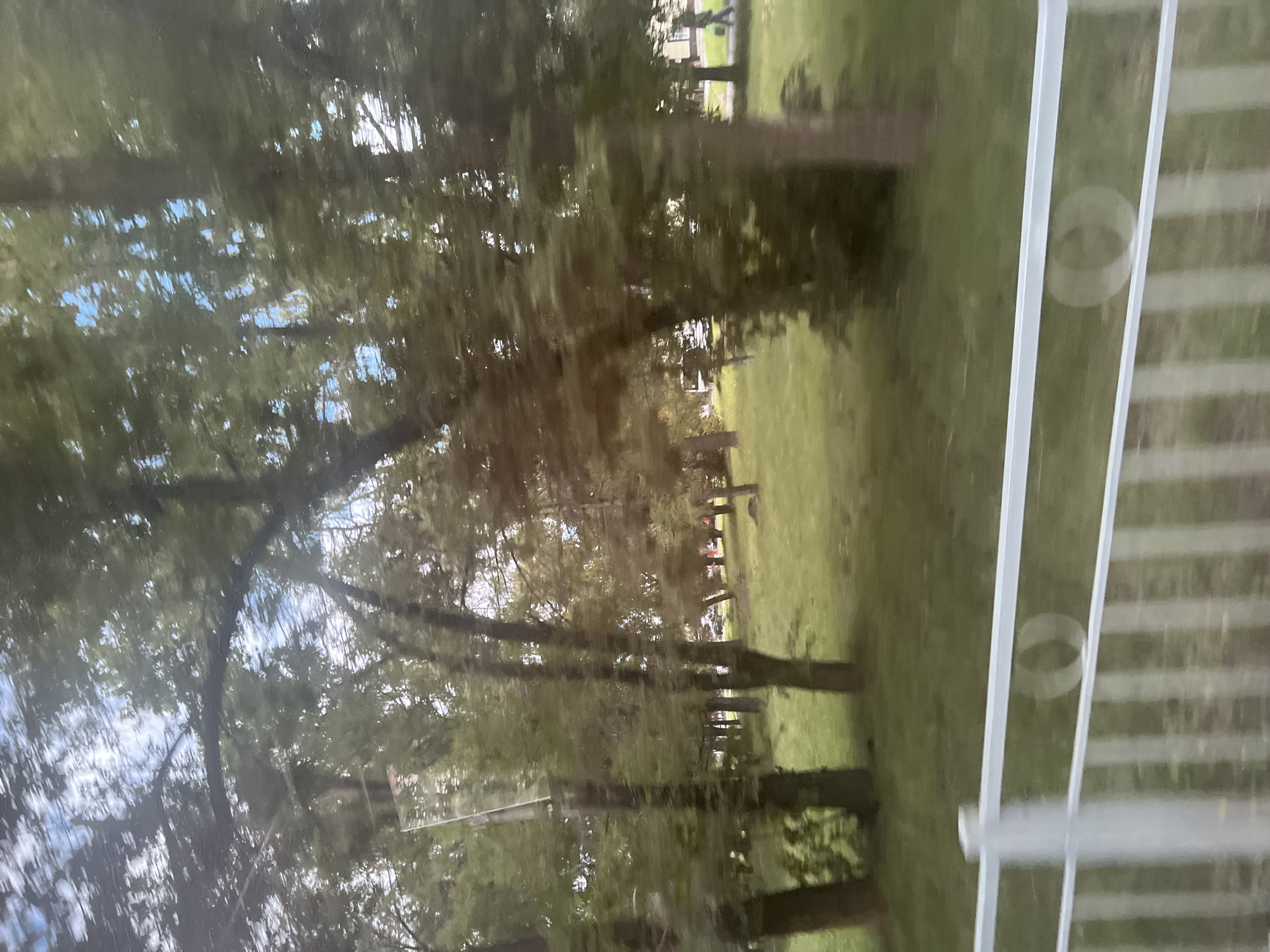 The image captures a park-like setting with numerous trees, predominantly deciduous with full green foliage. A grassy area forms the ground cover. In the foreground, a white metal fence with vertical slats and horizontal rails is visible, suggesting a boundary or promenade. The scene is slightly blurred, indicating movement, possibly from a vehicle. In the background, glimpses of buildings and vehicles are discernible, suggesting an urban environment. One building appears to be light-colored with windows, and a bus or large vehicle is partially visible. A person is seen walking on a paved path in the distance. The sky above is partly cloudy. This scene is consistent with an outdoor public space in Ulyanovsk, Russia, likely a park or boulevard area bordering residential or public buildings.