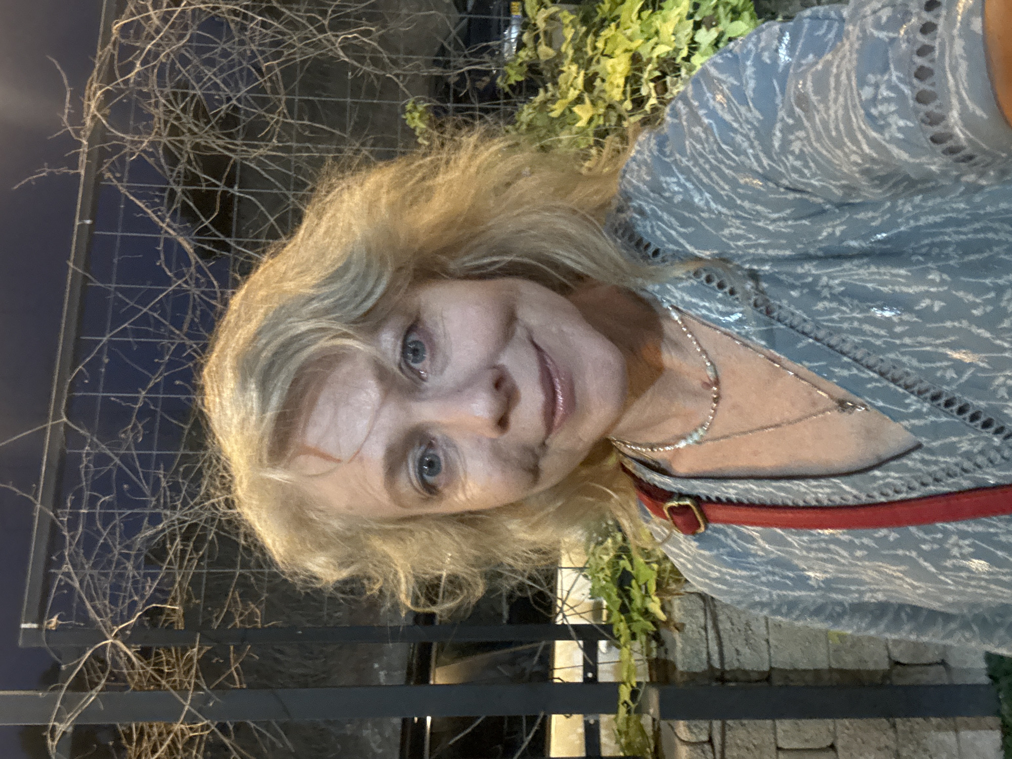 A middle-aged Caucasian woman with blonde, curly hair and blue eyes is pictured in a selfie. She is wearing a light blue blouse with a white pattern and a red strap from a purse is visible across her chest. She is also wearing necklaces. The background appears to be outdoors at dusk, with a fence covered in bare vines behind her and some green foliage on the right side. The scene is set in Migdal HaEmek, Israel.