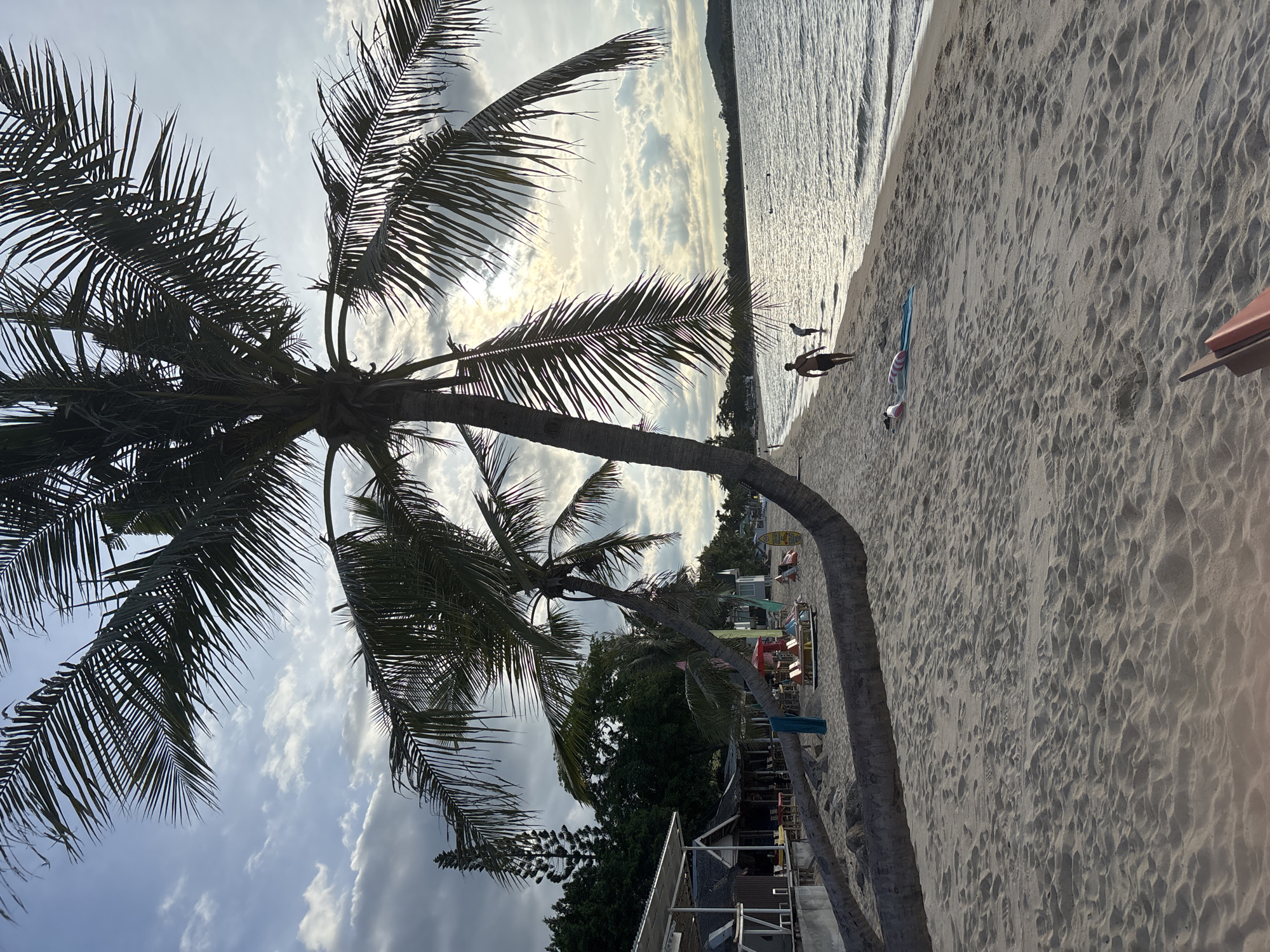 The image captures a scene at Baan Mae Nam beach in Thailand. A palm tree dominates the left side of the frame, its fronds silhouetted against a cloudy sky. The beach is sandy and stretches towards the right, meeting the calm ocean water. A man and a bird are visible on the shoreline. Behind the palm trees, there are buildings and foliage suggesting a populated area.