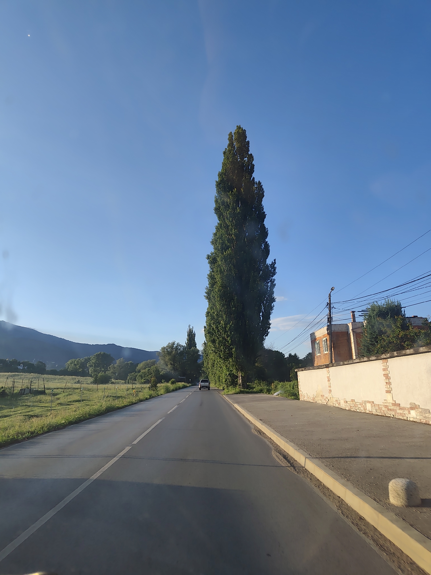 The image depicts a street scene in Dragichevo, Bulgaria. A two-lane asphalt road runs through the center of the frame, with a white dashed line dividing the lanes. The road is wet in some areas, reflecting the bright blue sky. To the left of the road is a grassy field bordered by a low fence, with a gentle slope leading to a line of trees and hills in the distance. On the right side of the road, a paved sidewalk runs alongside a low, light-colored wall with decorative brickwork. Behind the wall, a building under construction is visible, along with a lamppost and numerous power lines. A tall, slender tree stands prominently on the right side of the road, its dark green foliage contrasting with the clear sky. A single white car is seen driving away from the camera on the road, and another dark colored vehicle is further down the road. The overall impression is a quiet, rural road on a clear day.