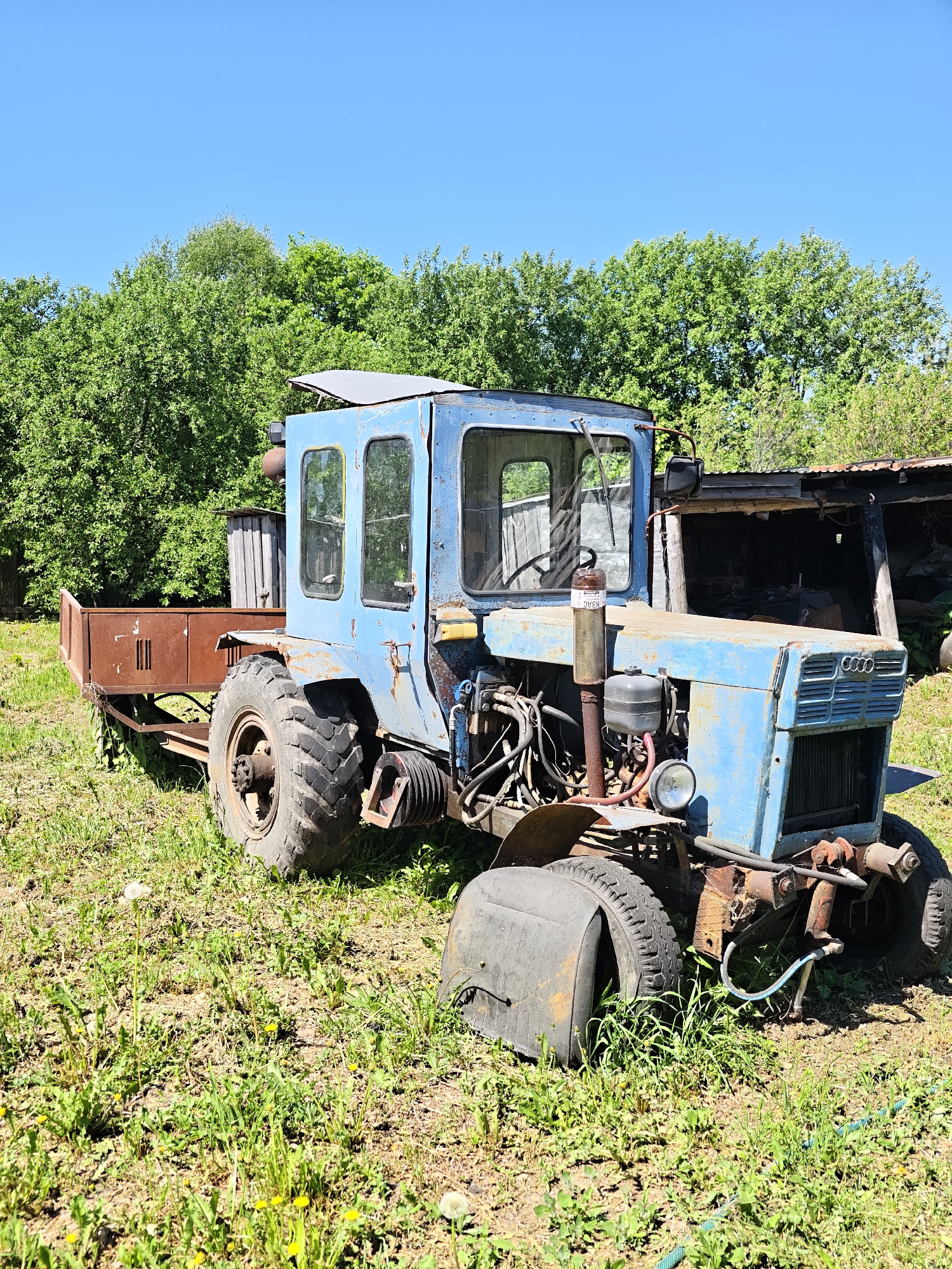 The image depicts a weathered, blue tractor in Большой Букор, Russia. The tractor, which has a rusty trailer attached, is parked on a grassy field, with trees in the background. The tractor's front tire is flat, and the vehicle appears old and in disrepair. An open barn structure is visible to the right of the tractor. The sky is clear and blue.