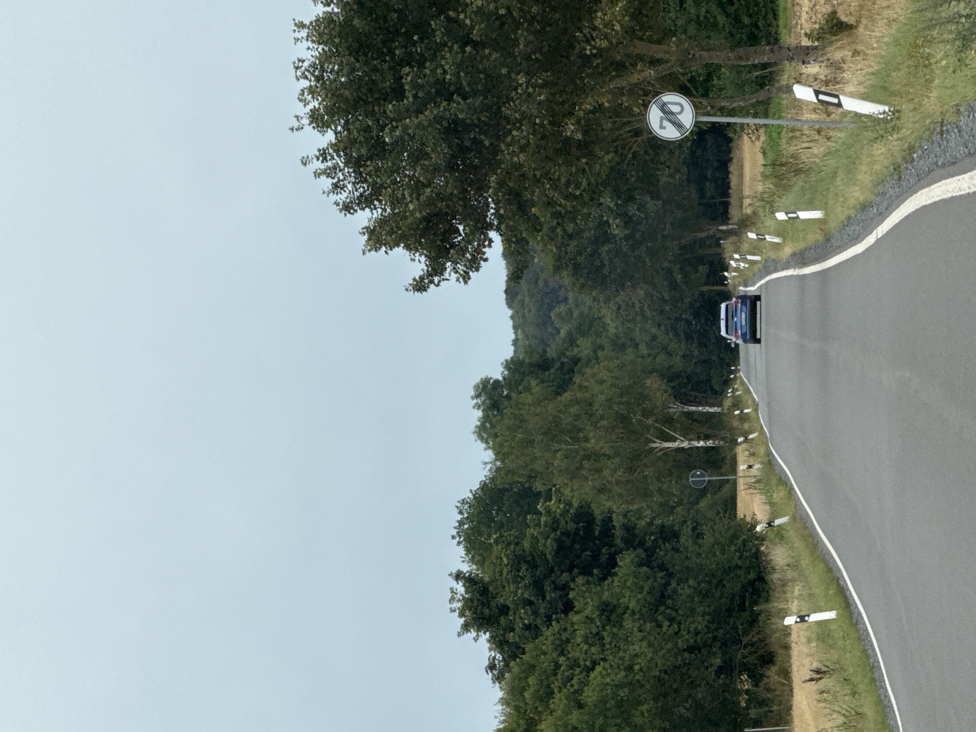 The image shows a rural road in Ellrich, Germany, on an overcast day. The road is asphalt with a white line marking the edge. On the right side of the road, there are marker posts and a speed limit sign indicating 70. On the left side of the road, there are more marker posts and a field of dry grass. The road is lined with trees on both sides, with dense foliage forming a backdrop. A blue car is driving away from the camera down the road. The sky is a uniform light gray.
