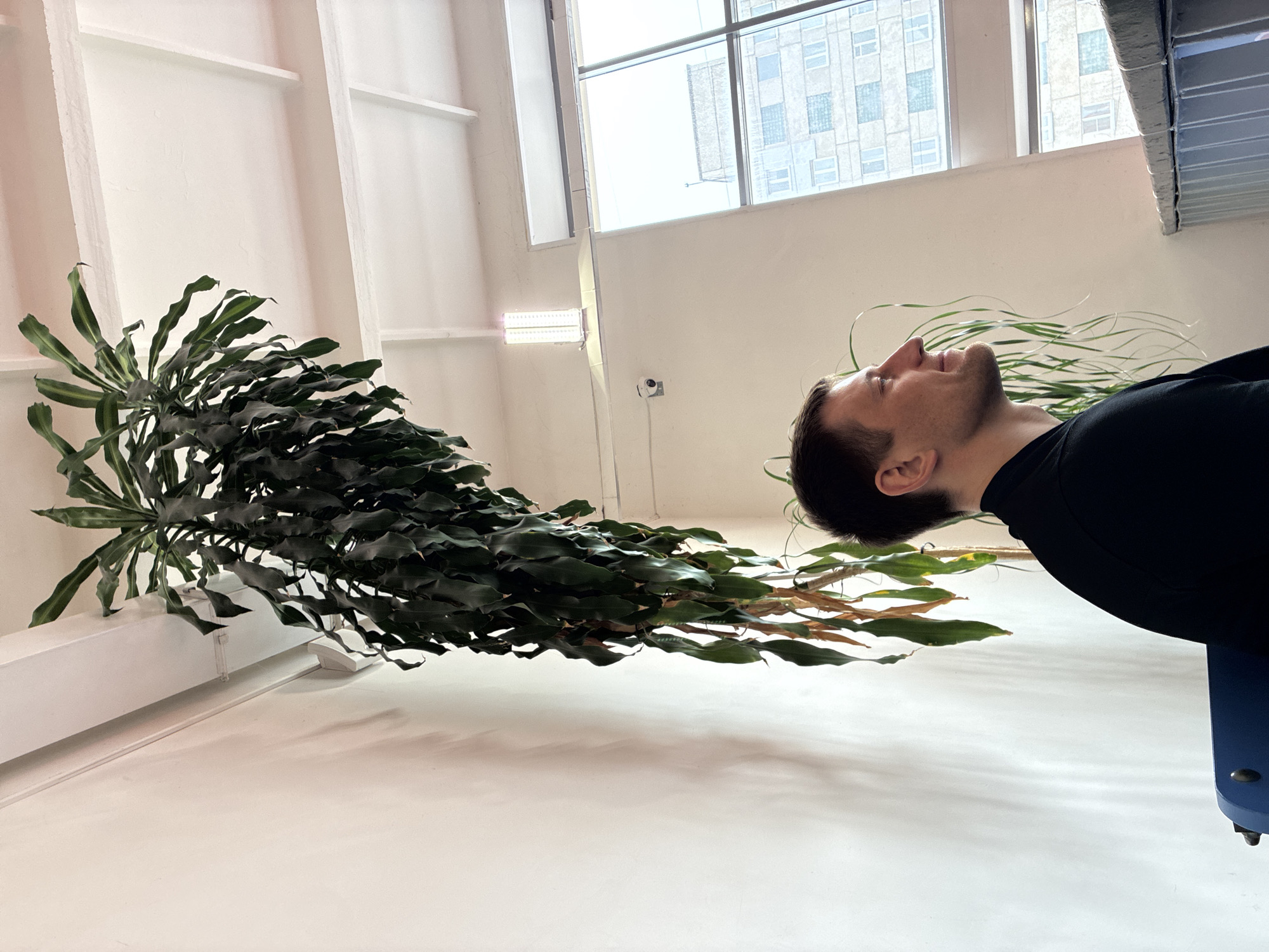 A man in a black shirt is lying on his back next to a large potted plant in a room with white walls and a window showing buildings in the distance. The room appears to be indoors. The location is the city of Unknown, Unknown.