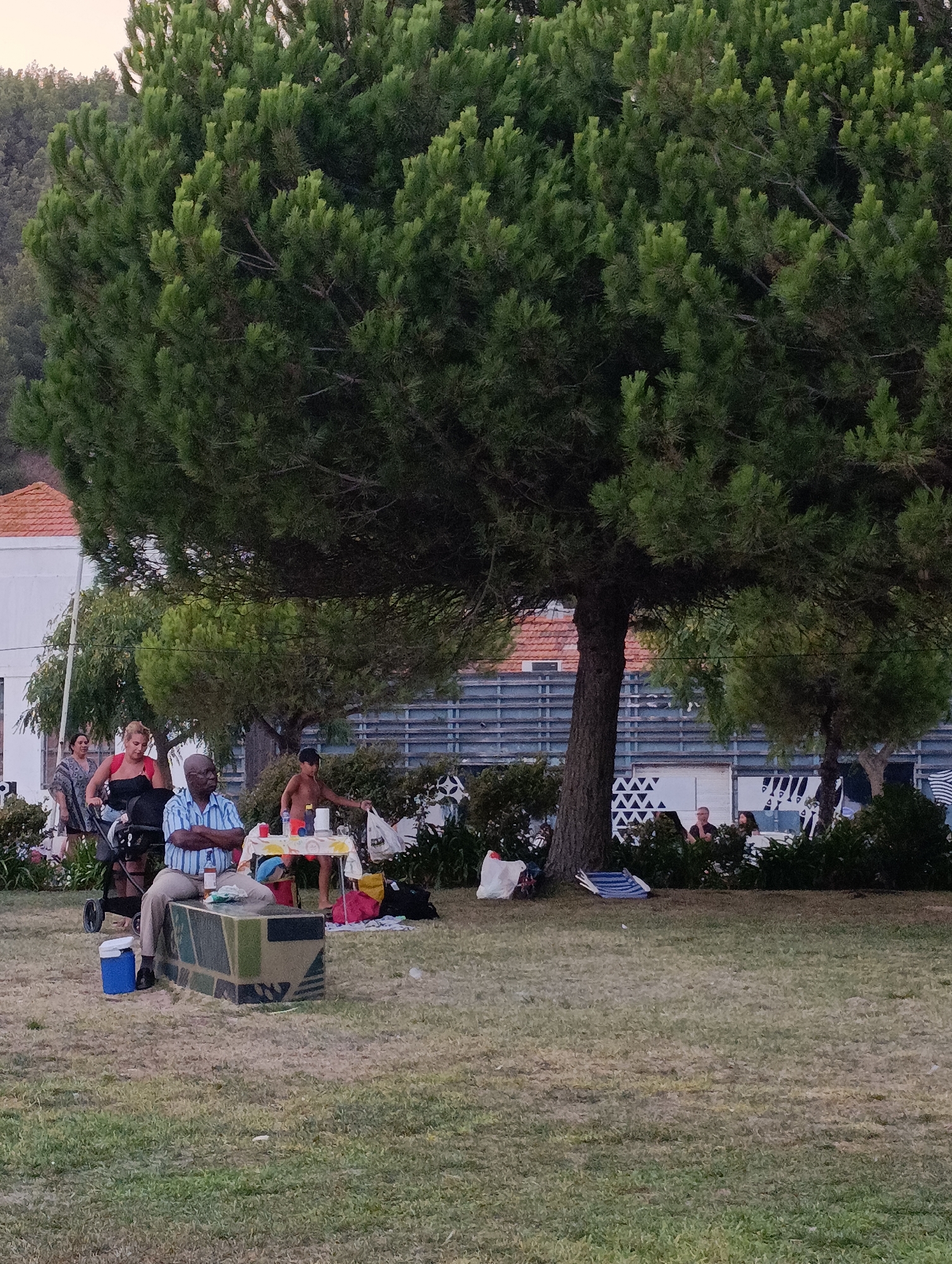 This image depicts an outdoor gathering in Setúbal, Portugal, likely in a park or recreational area. A large pine tree dominates the upper portion of the frame, casting shadows over a grassy area. Several people are visible. In the foreground, a man wearing a blue and white striped shirt and beige pants sits on a decorative bench. Next to him is a blue cooler. Behind him, a woman in a red top and a stroller suggest a family outing. Further back, a young person with their back to the camera is reaching towards a picnic table laden with drinks and food containers. Other individuals are scattered in the background, some seated and others standing, amidst bushes and a building with a tiled roof. The atmosphere appears relaxed and social, with people enjoying a day outdoors.