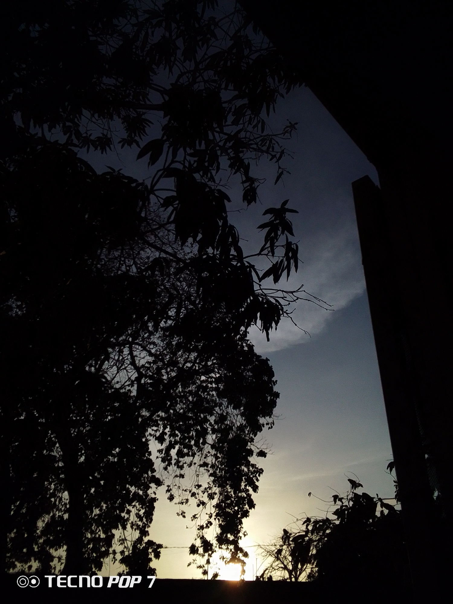 The photograph, seemingly taken in Altagracia, Venezuela, depicts a scene at dusk or dawn. The foreground is dominated by silhouetted trees and foliage, obscuring much of the lower portion of the image. The sun is positioned low on the horizon, its light partially obscured by the trees. In the upper right corner, a dark, vertical structure suggests a building or wall. The sky transitions from a dark blue above to a lighter hue near the horizon. A faint cloud is visible in the upper portion of the image. The watermark "TECNO POP 7" is present in the lower left corner. There are no people visible in the picture.