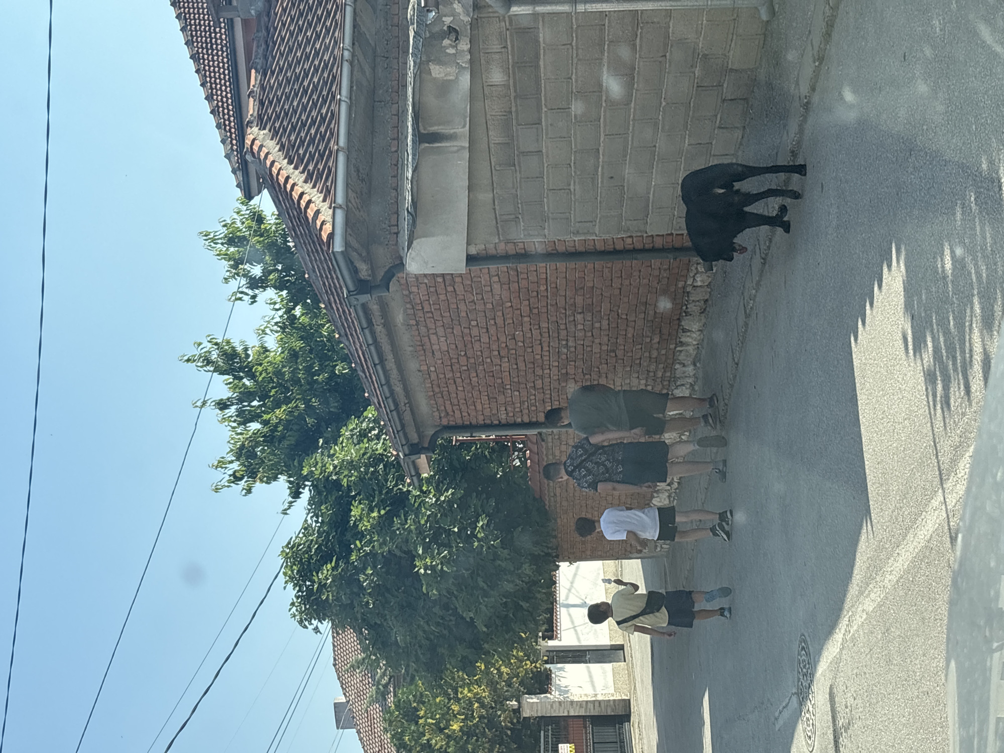 The image presents a sunlit street scene in a residential area of Rakovski, Bulgaria. The clear, bright blue sky shows multiple overhead power lines and a faint, circular lens artifact.
On the right side of the street, a brick building with a terracotta tiled roof and a concrete gutter system is visible, connecting to a grey cinder block wall that extends forward. On the left, parts of a white wall, a dark gate, and tiled roofs are discernible, partially obscured by dense green trees. The asphalt road surface features a manhole cover on the left.
Four males are depicted walking away from the viewer, moving down the street on the right side. The leftmost individual, a young boy in a yellow t-shirt, dark shorts, and a dark crossbody bag, holds a white ice cream bar in his right hand. Adjacent to him, a second young boy wears a white t-shirt and dark shorts. Behind them are two adult males: one in a dark patterned short-sleeved shirt with dark shorts and a bag over his shoulder, and the other in a dark green t-shirt and dark shorts.
A large, short-haired black dog walks on the right side of the street, near the curb and slightly ahead of the group of people. Its head is lowered, and its tongue is partially extended, indicating panting or sniffing. Shadows are cast across the street, consistent with direct overhead sunlight.