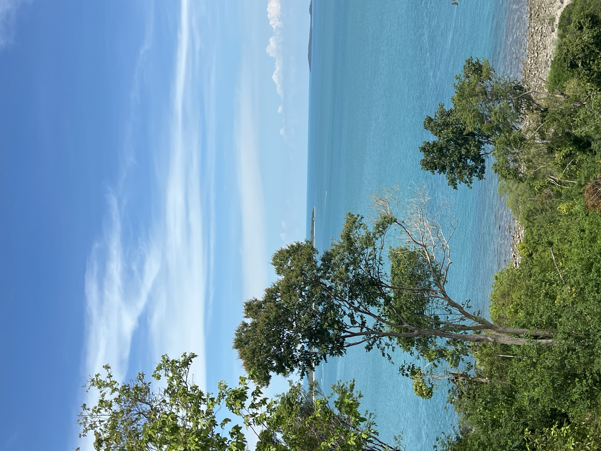 A bright, clear day at the coast of Baan Thong Krut, Thailand, is captured in this vertical, eye-level, medium shot. The image is dominated by a vast expanse of turquoise ocean under a vibrant blue sky dotted with wispy white clouds. In the foreground, lush green foliage and the branches of several trees frame the view, with a prominent tree in the center showcasing a dense canopy of dark green leaves. The shoreline is visible in the mid-ground, a narrow strip of grey pebbles transitioning into the sea. In the distance, several small islands can be seen on the horizon, with one appearing as a faint silhouette. The water is calm with gentle ripples, and the overall atmosphere is serene and tranquil. There are no people or animals visible in the scene.