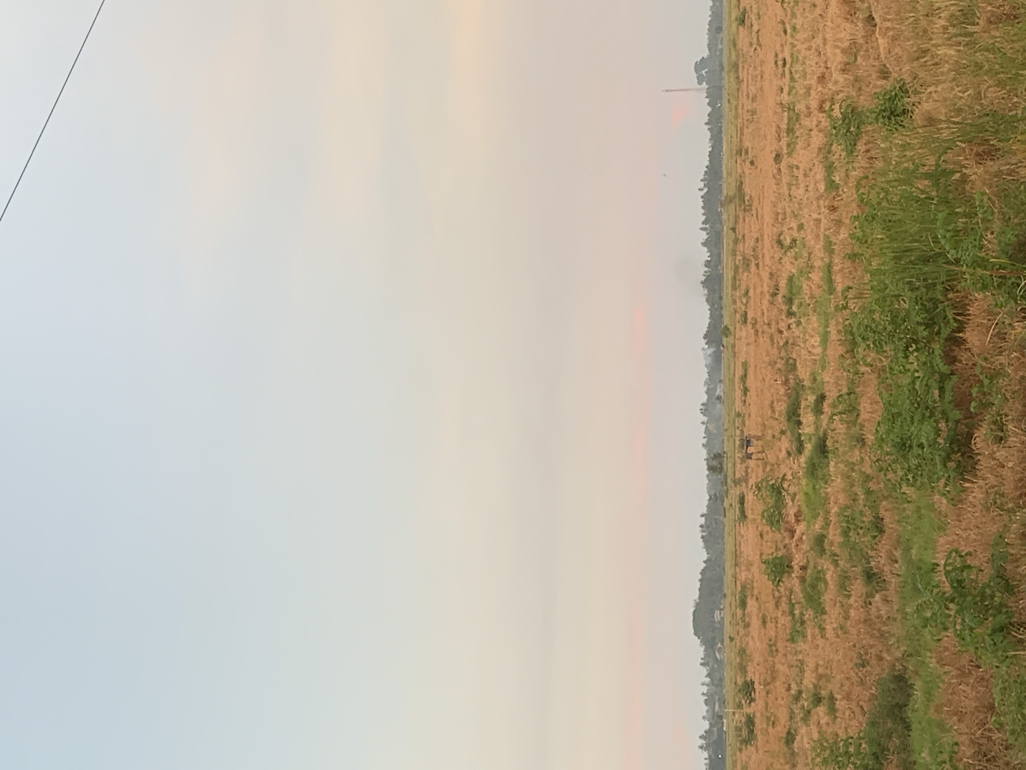 The image depicts a rural landscape in Kualadua, Indonesia. The foreground is dominated by a field of dry, golden-brown grass interspersed with patches of green vegetation. In the middle ground, a small, rustic structure resembling a shed or shelter stands within the field. Further in the distance, a treeline marks the edge of the cultivated area, beyond which are visible a few scattered houses and a prominent cell tower or radio mast. The sky above is a gradient of pale blue, transitioning to soft pink and orange hues, suggesting either dawn or dusk. A thin, dark wire stretches diagonally across the upper portion of the frame. The overall scene conveys a sense of quiet, rural life in the Indonesian countryside.