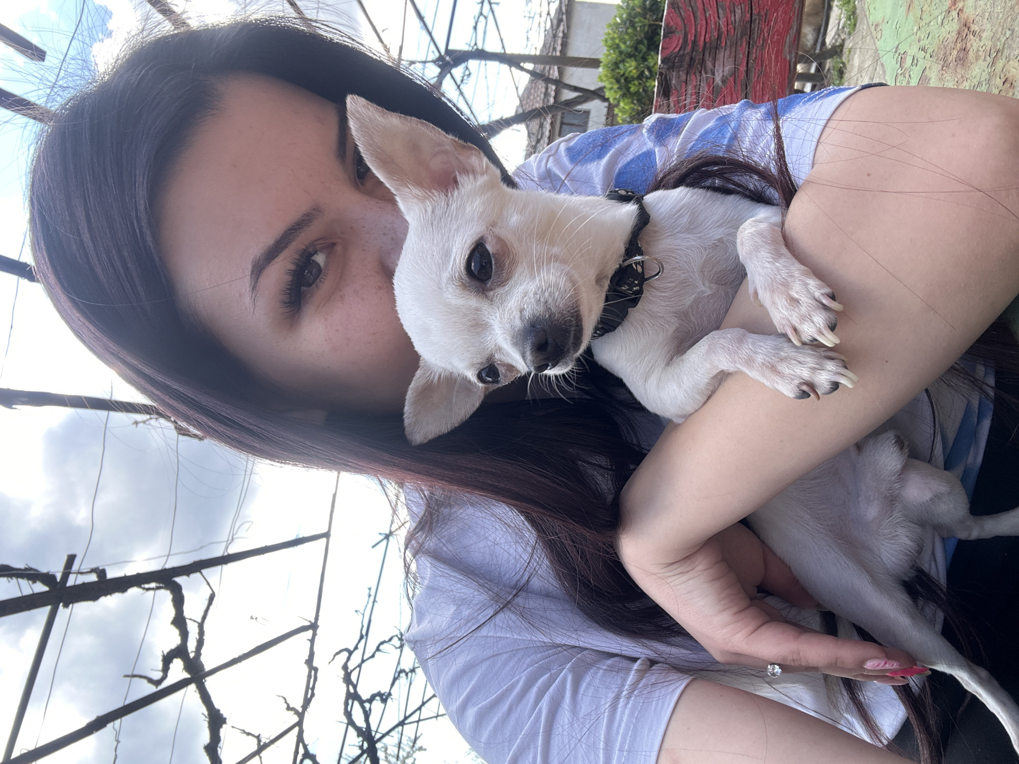 A woman is holding a small, white chihuahua in her arms, both looking toward the camera. The woman has long, dark hair and fair skin. She is wearing a light blue and white shirt. The chihuahua has a black collar. The background appears to be outdoors, with tree branches and a structure that may be a trellis visible. The image may have been taken near Chubra, Bulgaria.