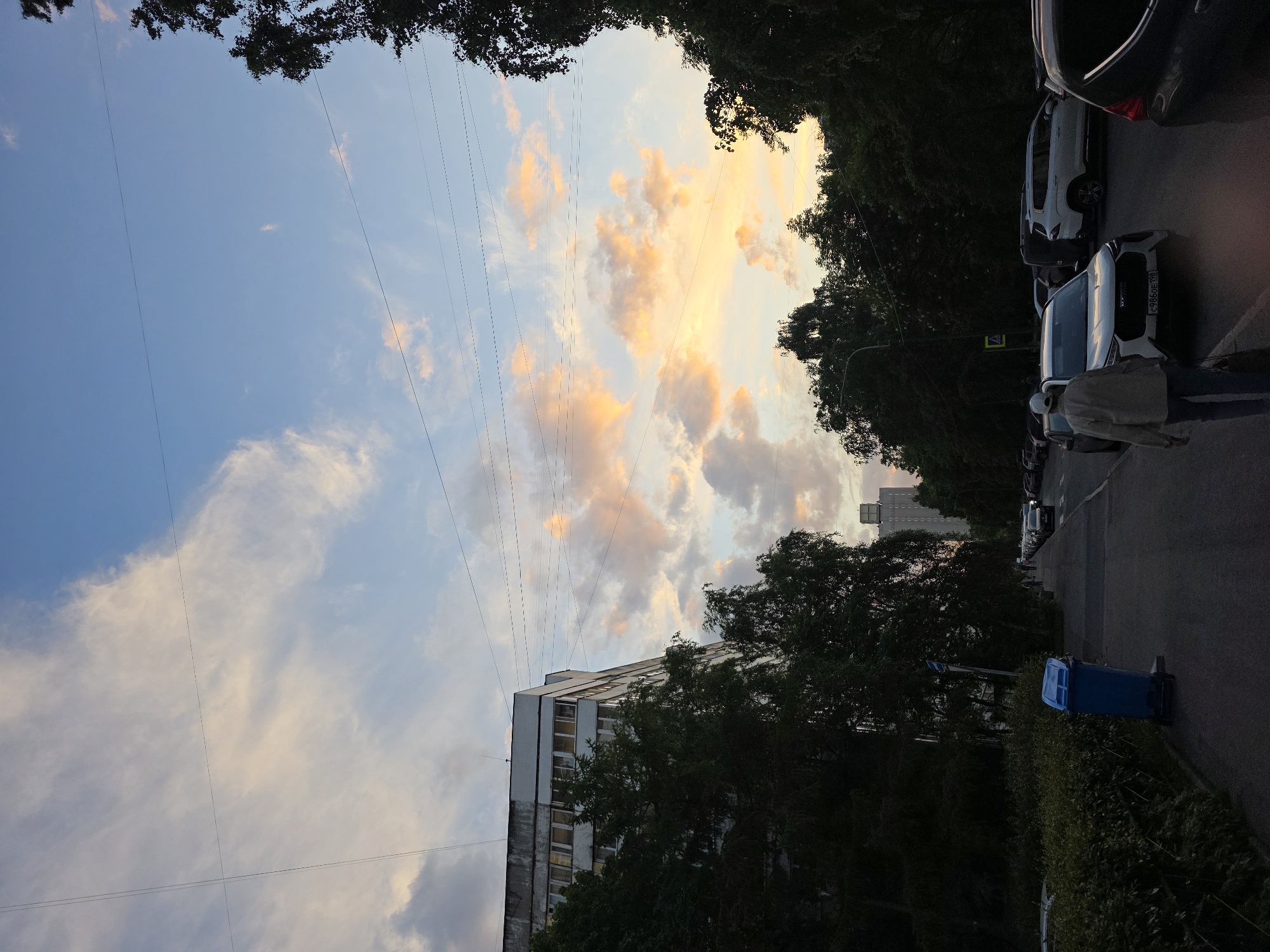 An urban street scene in Saint Petersburg, Russia, is depicted during either sunrise or sunset, characterized by the soft, warm light illuminating the sky. The upper part of the image is dominated by a clear blue sky interspersed with fluffy clouds, many of which are painted with golden, orange, and pink hues from the low sun. Numerous thin power lines stretch across the sky.
Lush, dark green trees and foliage frame the scene, appearing along the top edge and lining the street. On the left, a tall, multi-story residential building with multiple windows is visible, typical of post-Soviet architecture. A paved street occupies the right and lower sections of the frame, alongside a sidewalk. Several cars are parked along the street, including a white vehicle with a visible Russian license plate displaying "C986OE 198," confirming the Saint Petersburg region. A yellow triangular pedestrian crossing sign is present near the cars.
On the sidewalk, a person wearing a light-colored jacket and dark pants walks away from the viewer. A bright blue trash bin is also visible on the sidewalk further down the street. The overall ambiance is peaceful, with the soft, low-angle light creating a contrast between the brightly lit clouds and the shadowed street level.
