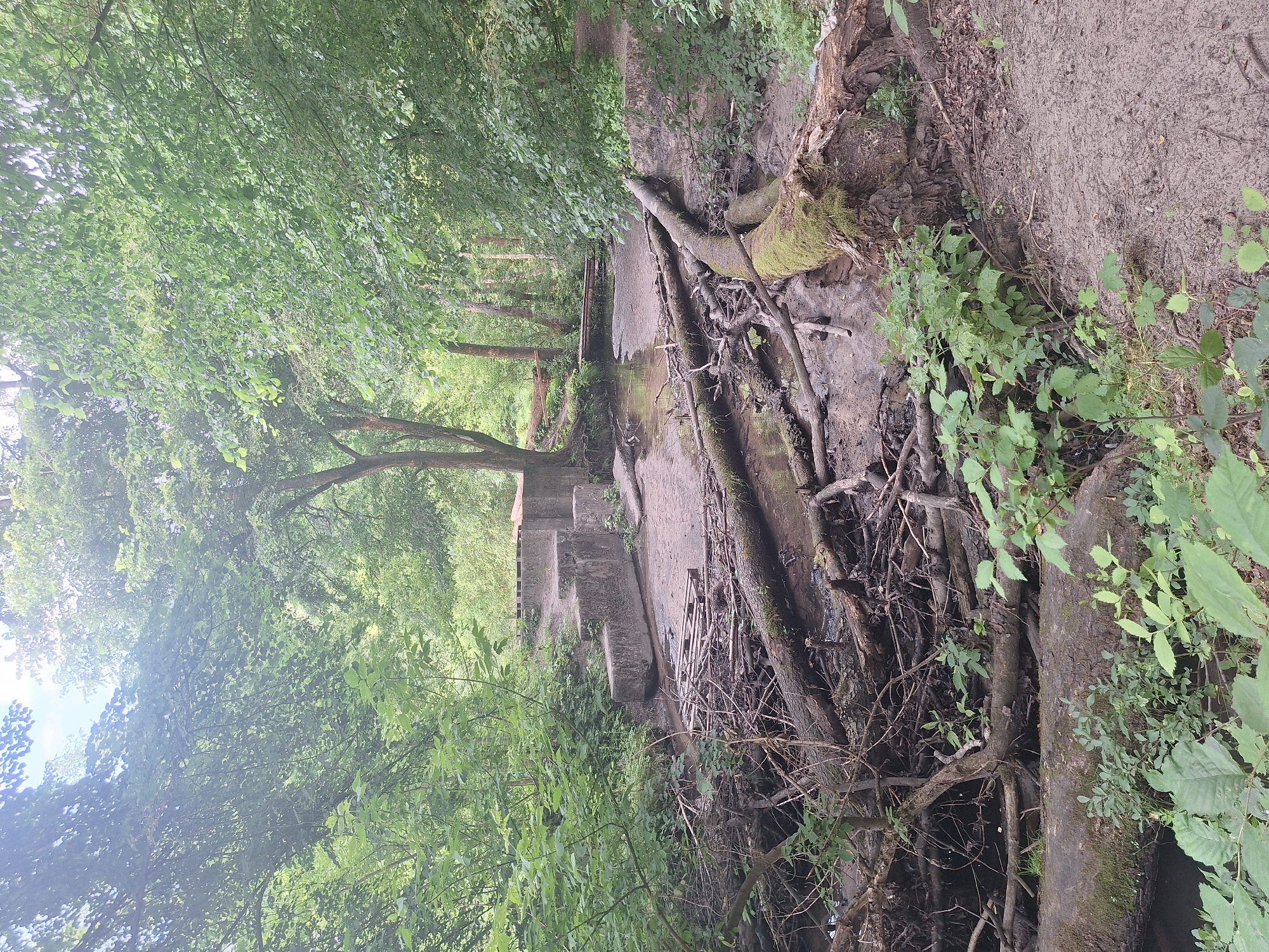 The image shows a muddy stream bed in a wooded area, likely a park or natural reserve. The stream is partially dry and filled with fallen branches and logs, some of which are covered in moss. Concrete structures, possibly remnants of an old bridge or dam, are visible on the left bank. The surrounding area is dense with trees and greenery, suggesting a natural, undeveloped environment. The scene appears to be in Gliniak, Poland, as indicated by the prompt. There are no people or animals visible in the image. The lighting suggests it is daytime, with dappled sunlight filtering through the trees. The overall impression is one of a wild, slightly neglected, but picturesque natural landscape.