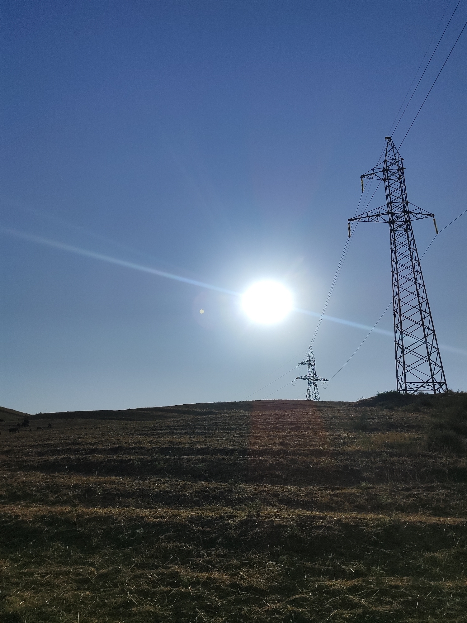 The image depicts a sunlit landscape with two large metal electricity pylons dominating the sky. One pylon is in the foreground on the right, its latticework silhouette sharply defined against the bright blue sky. The sun, a brilliant white orb with visible lens flare, is positioned slightly left of center, casting a strong glare across the upper portion of the image. A second, smaller pylon is visible in the distance, receding up a gentle slope. The foreground is a textured field of dry, mowed grass, showing rows of stubble and scattered remnants of vegetation. The ground rises in a series of undulations towards the pylons. In the far left of the frame, a small group of dark shapes, possibly livestock, are visible on a distant hill. The scene is set under a clear, expansive sky.