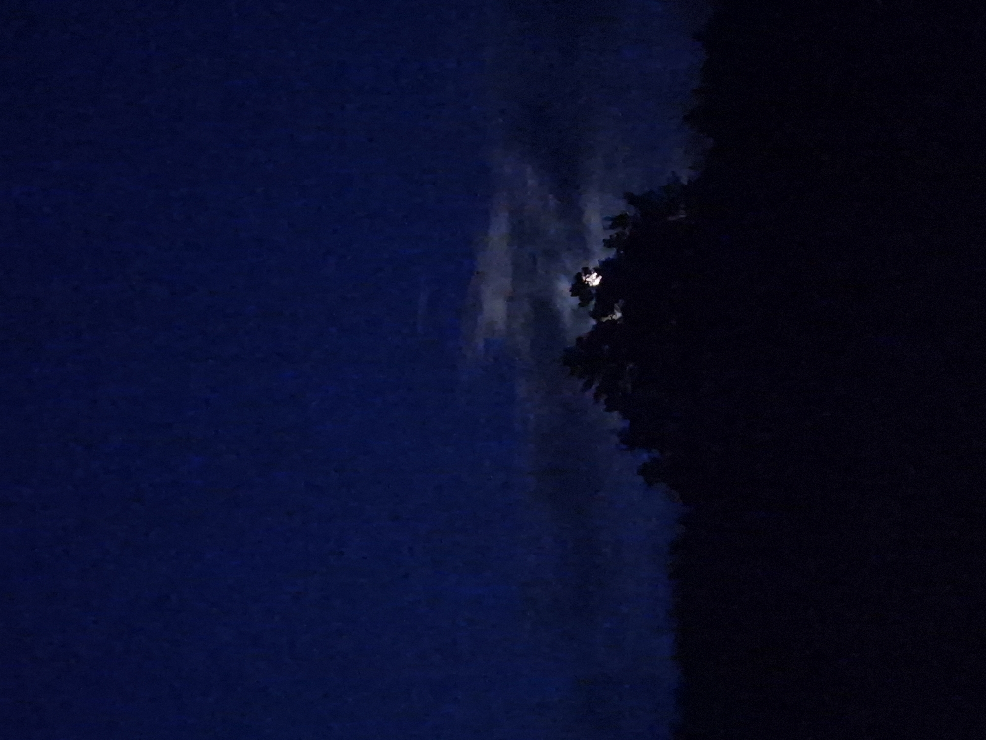 The image depicts a dark, silhouetted treeline against a deep blue night sky. A faint, partially obscured moon is visible peeking through a break in some wispy clouds, casting a subtle glow. The overall impression is one of a serene, natural landscape under moonlight, likely in a rural or semi-rural setting. The image is too dark and lacks detail to determine a specific location within Sooblase, Estonia. There are no people, specific objects, or actions discernible in the scene.