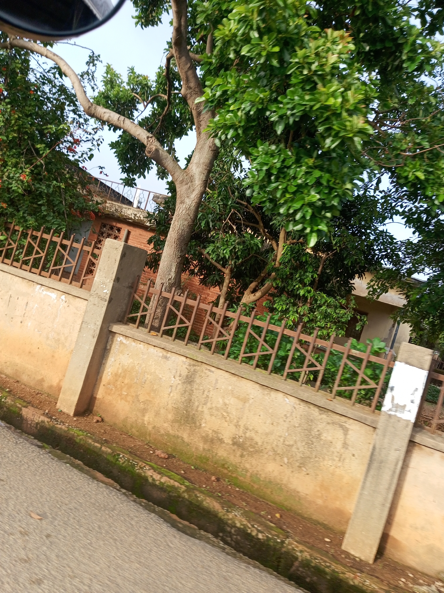 The image depicts a street scene, likely in the city of Jos, Nigeria. In the foreground, a concrete gutter with some moss growth runs alongside a paved road. A beige-colored concrete wall, showing signs of wear and staining, extends along the side of the road. A tall, rectangular concrete pillar stands on top of this wall. Behind the wall, a rusted metal fence with a criss-cross pattern encloses a property. Beyond the fence, several trees with lush green foliage are visible, with one large tree prominently displaying its trunk and branches. In the background, a building constructed with red bricks is partially visible, featuring a window with a decorative lattice pattern. Another building with a lighter-colored facade is also present. The sky above is clear and light blue. The overall impression is of an outdoor scene in a residential or mixed-use area.