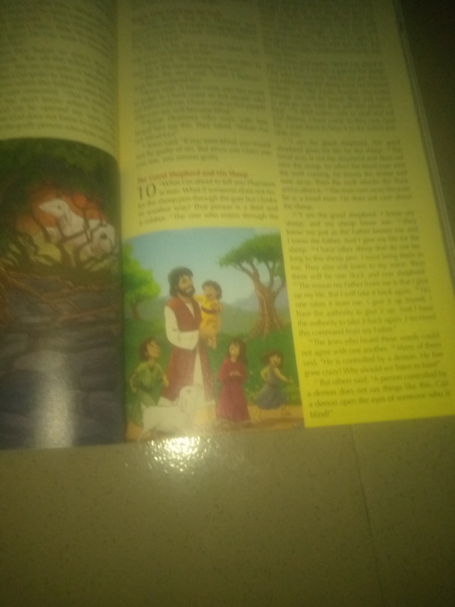 The image shows an open book with text and an illustration. The text discusses a good shepherd and his sheep, and includes a numbered passage "10." The illustration depicts a man with a beard holding a child, surrounded by other people and a sheep. The book appears to be in a dimly lit environment. There is no information in the image to indicate a location in Jauro Yinu, Nigeria.