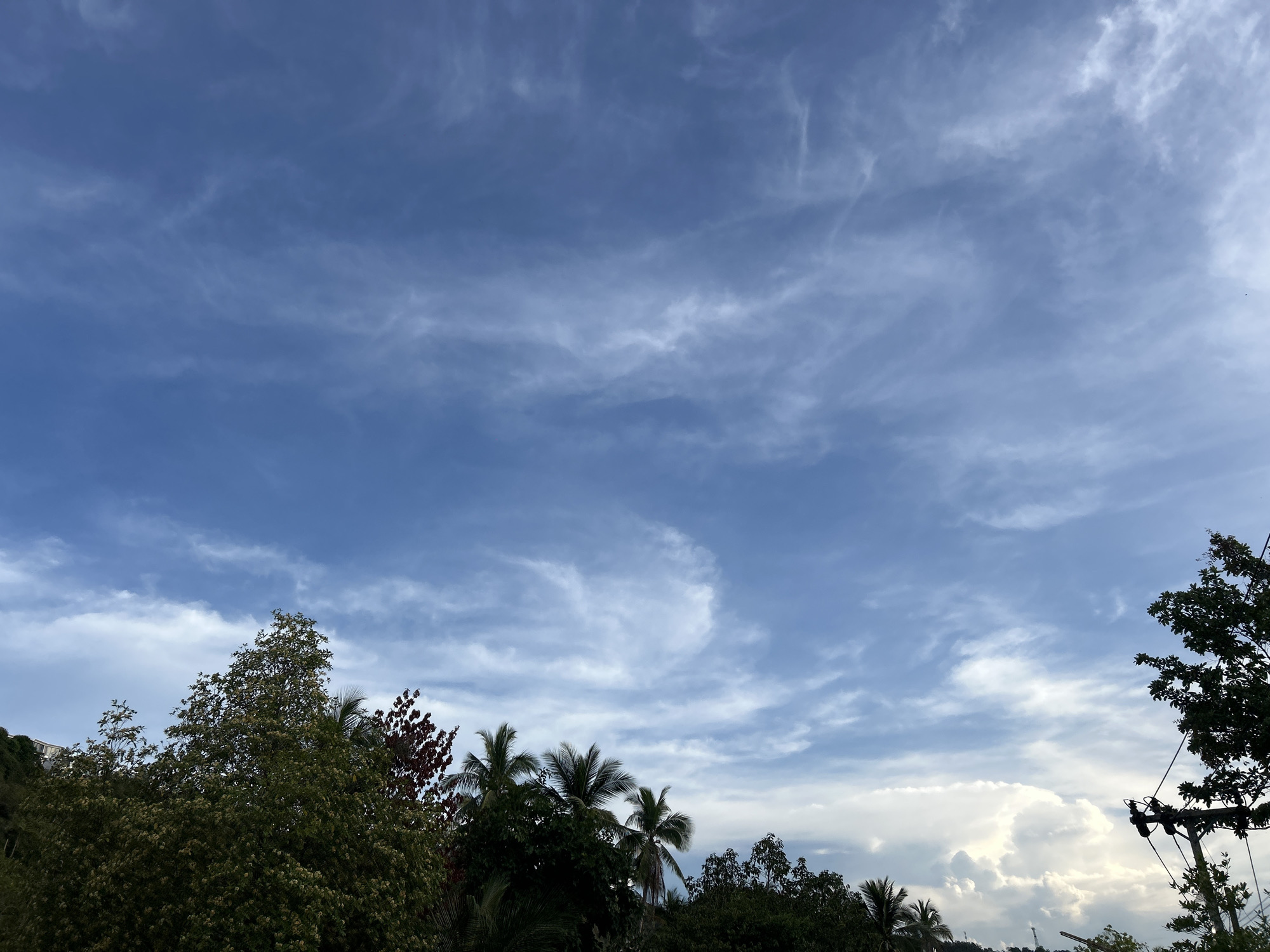 The image is a low-angle shot taken outdoors in Baan Wang Ta Kien, Thailand. The sky occupies most of the frame and is a deep blue with wispy, streaky white clouds scattered throughout. In the lower part of the image, there is a treeline composed of various types of trees, including palm trees. A utility pole is visible on the right side, with wires running out of the frame. Behind the treeline, there are bright, white cumulus clouds.