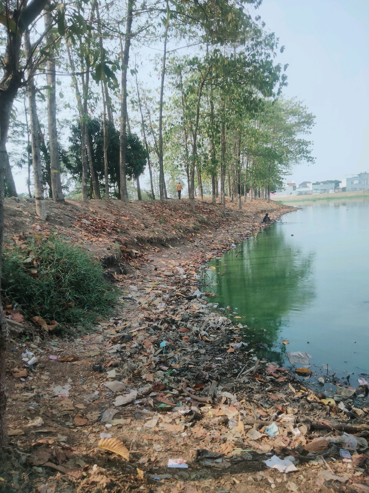 This image depicts a polluted shoreline next to a body of water, likely a lake or pond, in Tangerang, Indonesia. The foreground is dominated by a debris-strewn bank, heavily littered with plastic waste, fallen leaves, and other refuse. A patch of green grass grows on the left side of the bank. A line of tall, slender trees with sparse foliage forms a backdrop along the elevated edge of the bank, separating it from a distant urban landscape with buildings visible under a pale sky. In the mid-ground, a person is seated by the water's edge, appearing to be fishing with a rod. The water itself is a murky green, reflecting the surrounding trees and sky. The overall scene suggests an area suffering from environmental neglect and pollution.