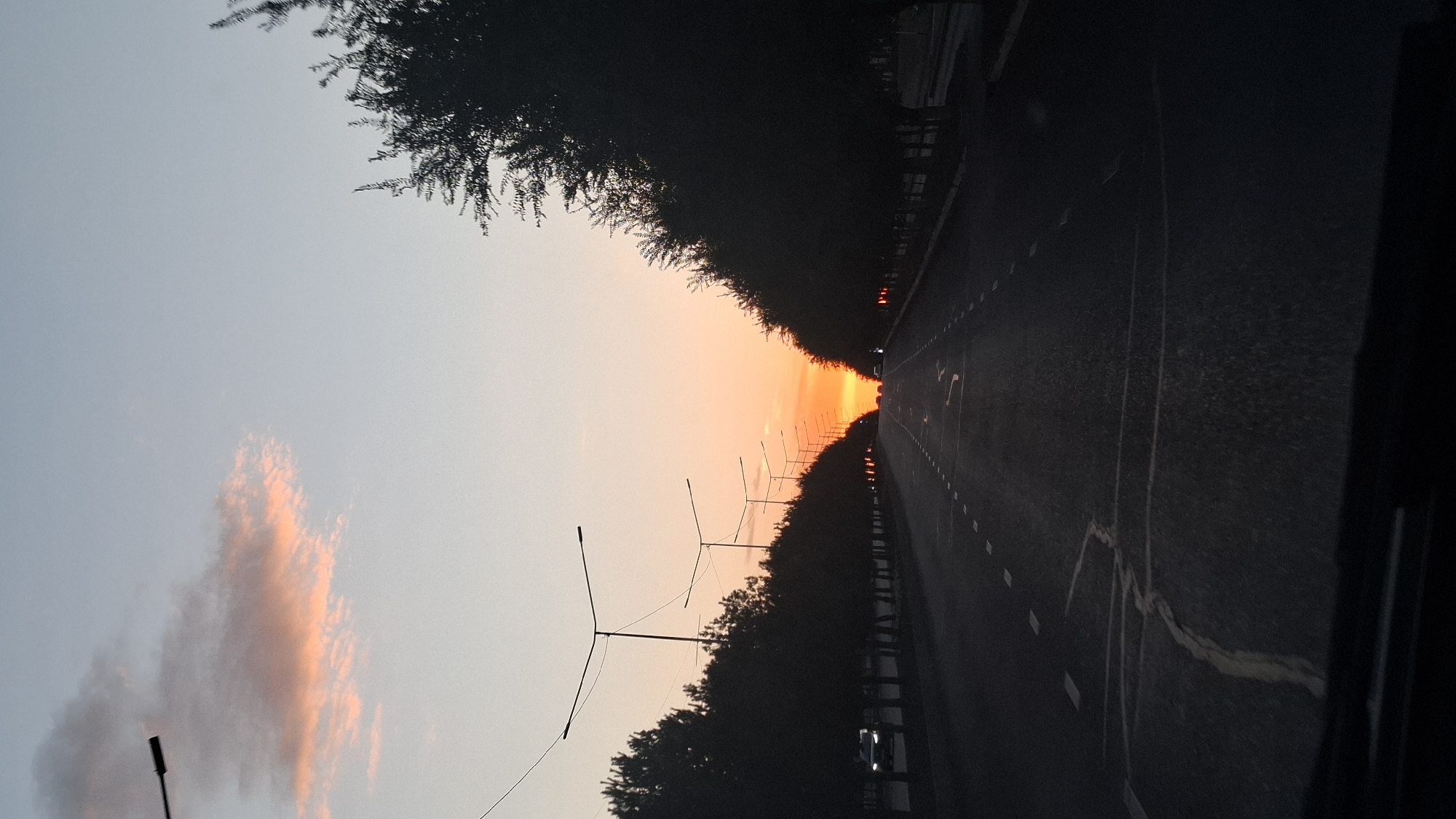 A photograph captures a serene sunset over a wide, straight road lined with trees on both sides. The sky transitions from a pale blue at the top to a vibrant orange and yellow near the horizon where the sun is setting. A single pink cloud is visible in the upper left portion of the sky. Tall, slender lampposts with horizontal fixtures are spaced along the median of the road, and some are illuminated. Silhouetted trees form a dense canopy along the edges of the road, creating a tunnel-like effect. A few cars are visible on the road, their headlights on, indicating it is late evening. The road surface is asphalt, with clear white dashed lane markings. In the foreground, the dashboard or hood of a vehicle is visible, suggesting the photograph was taken from a moving car. The scene is located on the road leading to the Shymkent International Airport in Shymkent, Kazakhstan, a common route for travelers entering or leaving the city.