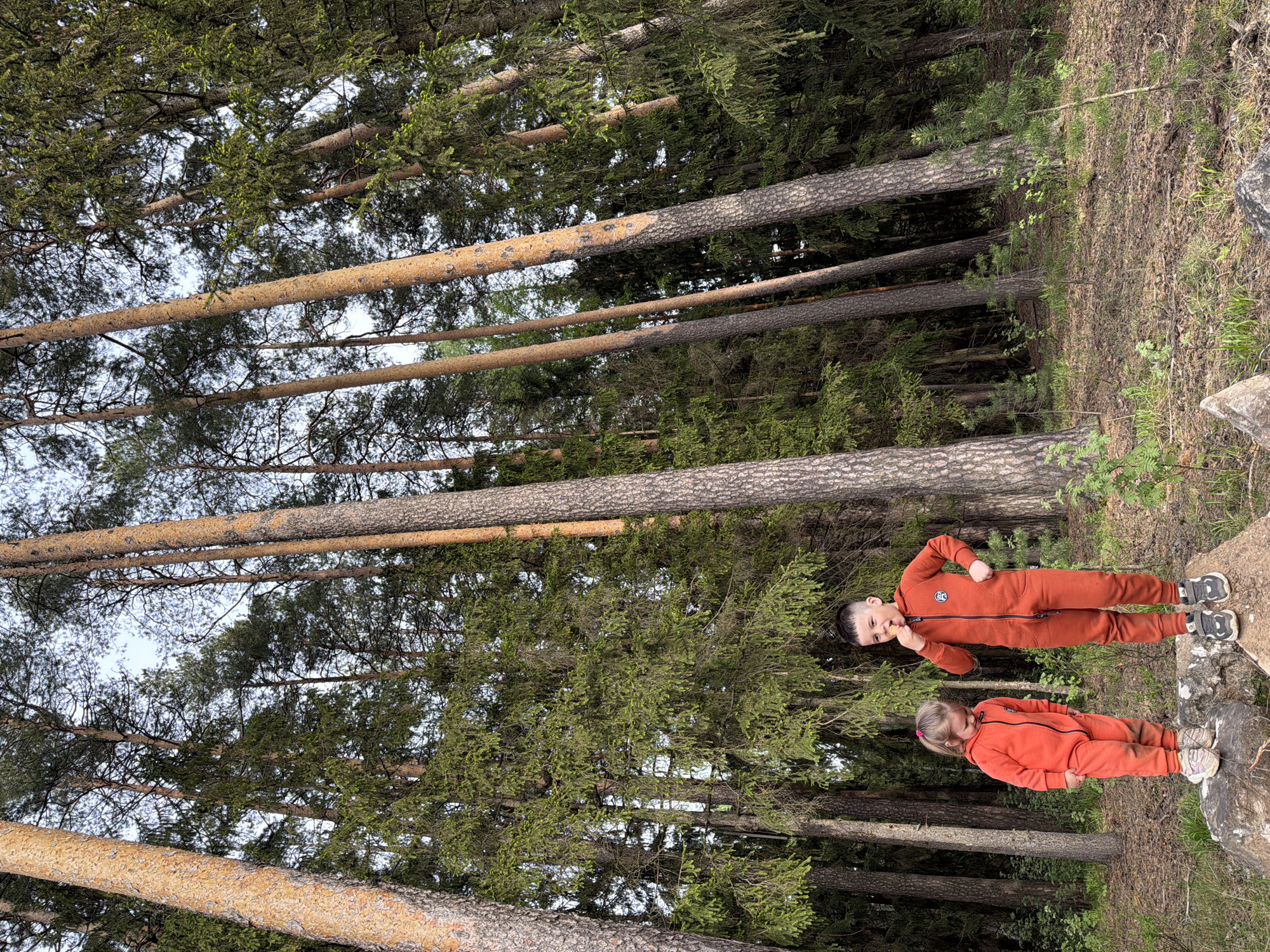 The image shows a forest landscape, possibly in the vicinity of the city of Chaikovsky, Russia. The perspective appears to be looking upward through tall, mature evergreen trees with straight trunks. Two children, a boy and a girl, are positioned in the middle of the image on what appears to be a rock or elevated ground. Both are wearing matching orange jumpsuits and shoes. The boy seems to be eating something, while the girl stands next to him.