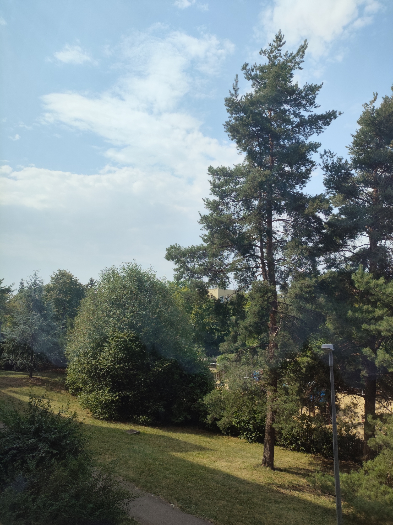 The image depicts a sunlit park area with lush green trees and a paved path. Tall pine trees dominate the right side of the frame, their branches reaching towards a partly cloudy blue sky. A lamppost stands near the pine trees. The ground is covered in grass, with some areas in shadow cast by the trees. In the background, a building with a light-colored facade is visible between the trees. The overall impression is of a tranquil urban green space.