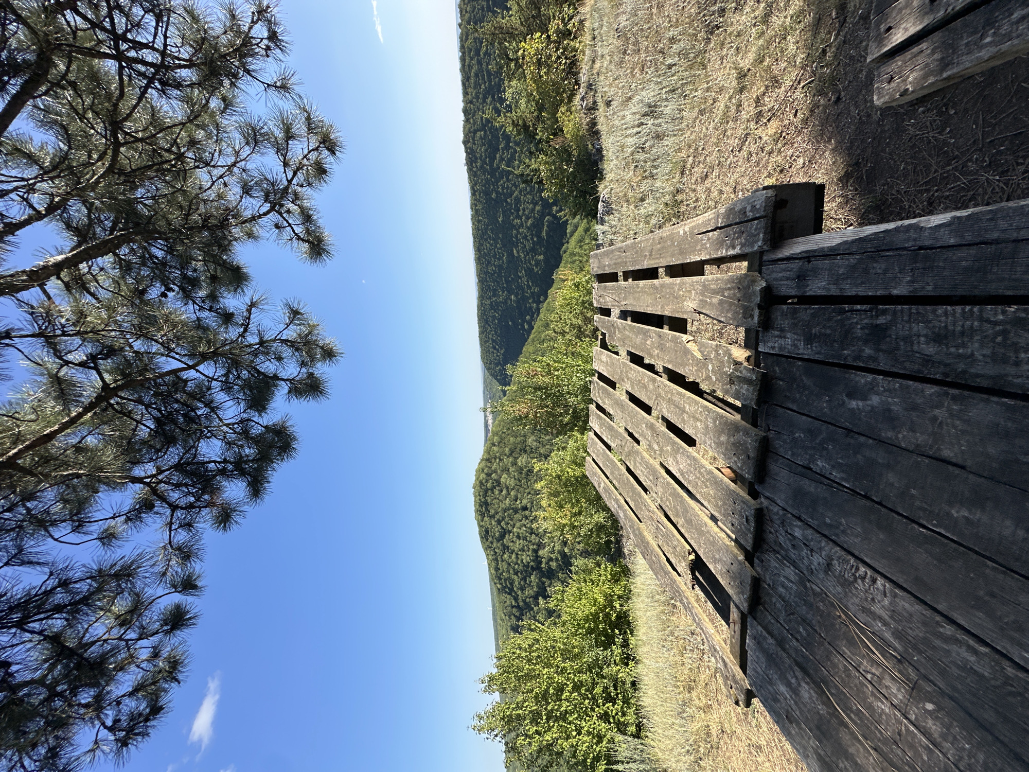 An outdoor scene features a weathered wooden picnic table in the foreground, angled towards the viewer. The table appears to be made of rough-hewn planks, with some boards cracked and gaps between them. Beyond the table, a lush, green valley unfolds under a clear blue sky. Rolling hills covered in dense forest stretch into the distance, suggesting a natural, undeveloped landscape. The upper portion of the image is framed by the dark needles and branches of a pine tree. The overall impression is one of a scenic overlook, possibly in a rural or park setting. The location is identified as Makiv, Ukraine.
