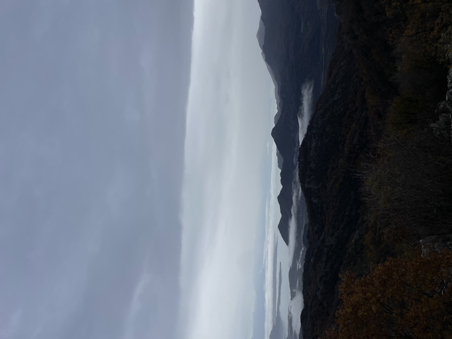 The scene captures a panoramic natural landscape from an elevated vantage point in Bukovik, Montenegro. The upper approximately 40% of the image is dominated by an unbroken expanse of uniformly grey, overcast sky, indicating diffuse lighting. Below the cloud line, a vast mountainous and lacustrine environment unfolds. A significant body of water, possibly a lake or bay, is visible in the mid-distance, largely obscured by widespread low-lying fog and mist. Multiple ridges of dark, tree-covered mountains and hills recede into the background, with intermittent pockets of white mist settling in their valleys. The most distant mountain ranges appear faded and lighter in tone due to atmospheric haze. The immediate foreground consists of rugged, rocky terrain interspersed with sparse, dark-toned vegetation, including bushes and what appears to be bare or autumnal deciduous trees, evidenced by patches of rust-colored foliage on the left. No human figures, animals, or man-made structures are present or discernible. The overall atmosphere is cool, damp, and subdued due to the overcast conditions and prevalent fog.