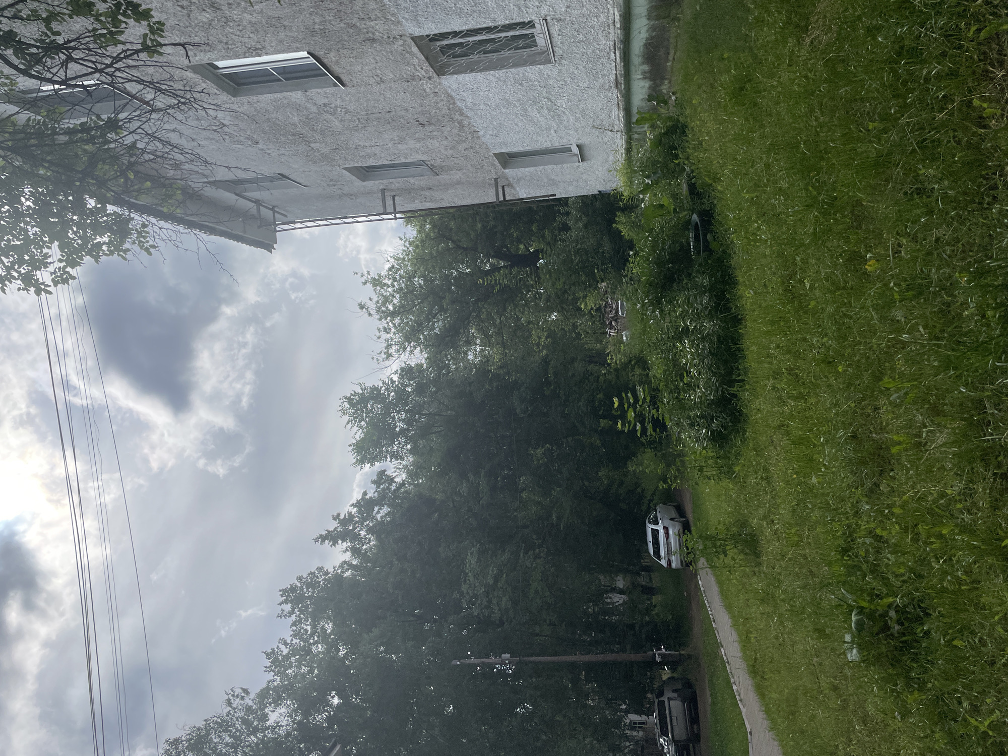 The image shows an outdoor scene in Chaikovsky, Russia, on an overcast day. In the foreground, a grassy area with tall grass and some scattered debris is visible. A paved walkway curves from the left side of the image towards the center.
To the left of the walkway, a white sedan is parked on a dirt or gravel surface. Further left, the rear of a darker colored SUV is partially visible, parked on the same surface. A wooden utility pole stands near the walkway.
Behind the walkway and cars, a dense line of green trees forms a backdrop. The trees are tall and leafy, obscuring much of what might be behind them. A portion of a white building with multiple windows is visible on the right side of the image. The building's exterior appears weathered. A metal ladder is attached to the side of the building. The sky above is cloudy, with some patches of brighter sky suggesting the sun may be behind the clouds.