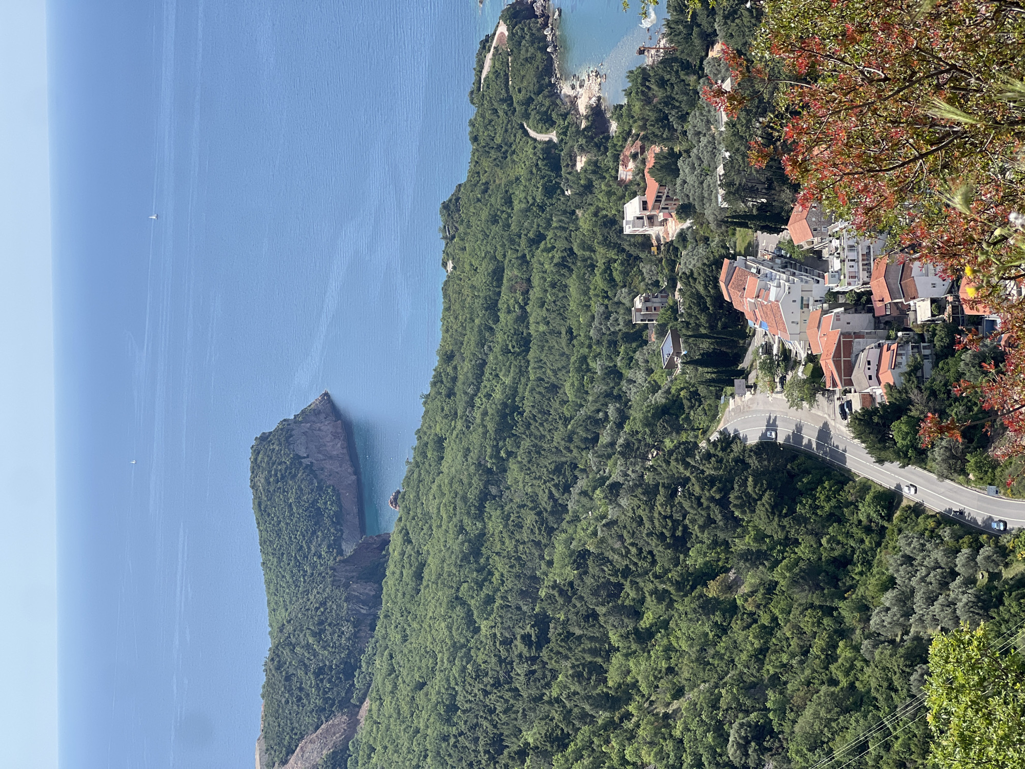 Captured from an elevated viewpoint, the image presents a portion of Sveti Stefan, Montenegro. A turquoise-blue sea spans the left side of the frame, alongside a landmass heavily forested with green trees. A rocky promontory juts into the water. On the right, houses with red-tiled roofs dot the landscape, interspersed with trees. A winding road cuts through the verdant terrain, and vehicles traverse it. The foliage in the foreground right corner appears reddish. A small sailboat is visible in the distance.