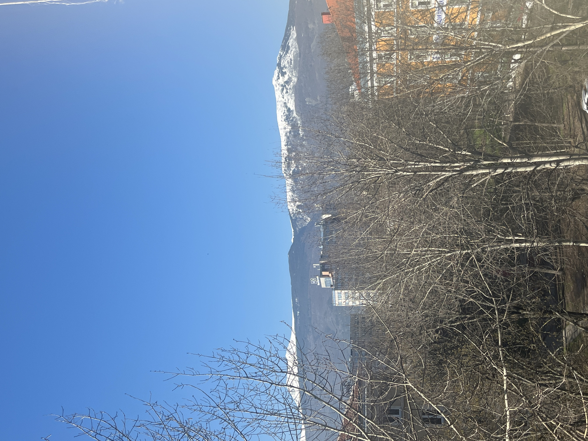 The image shows a view from a high vantage point, likely a window, facing a mountain range partially covered in snow. In the foreground are bare tree branches obscuring some of the view. Several buildings are visible, including some residential structures with orange roofing and light-colored facades. There is a clear, blue sky visible in the upper left. The scene likely takes place in Sofia, Bulgaria as the view matches the landscape of the city with the Vitosha mountain in the background.