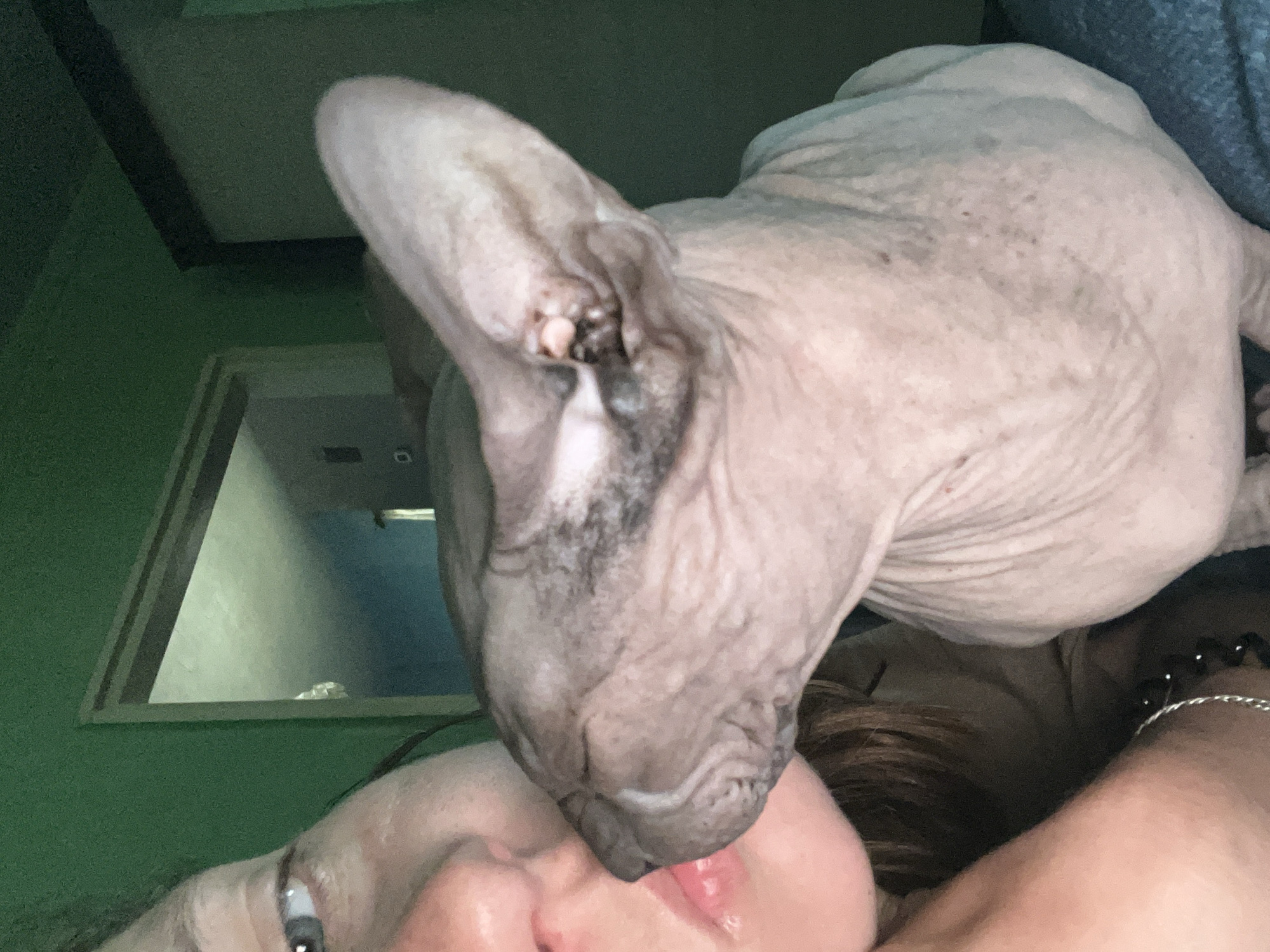A close-up shot depicts a woman lying down, with a Sphynx cat on top of her face, its nose near her lips. The cat is hairless with wrinkly skin and dark patches near its ears and nose. The woman's face is partially visible, showing her eye with a reflection in it. The background is a green wall with a framed mirror showing a glimpse of an interior space. The location of the scene is not discernible from the image. There are no indications to confirm that the image was taken in Nizhny Tagil, Russia.