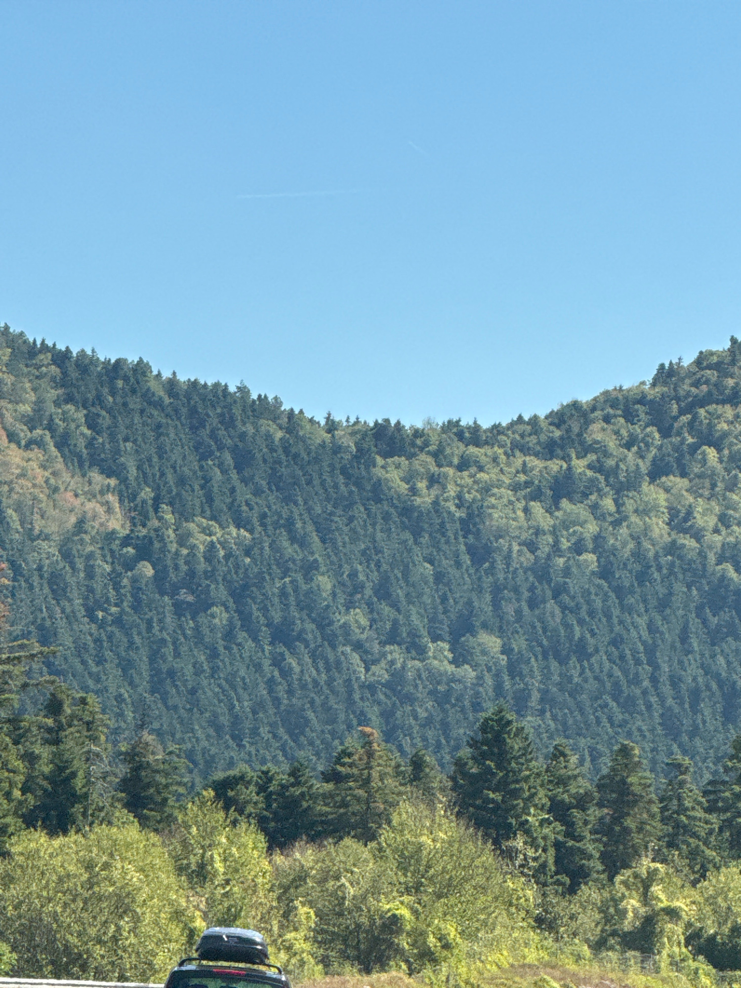 A vertical shot captures a dense evergreen forest covering a mountain slope under a clear blue sky. The forest is a mix of dark green conifers and lighter green deciduous trees. In the foreground, a dark colored vehicle is parked on a road, with a black cargo box on its roof. The road appears to be a two-lane paved road, with a shoulder visible. The surrounding vegetation in the foreground consists of a variety of green bushes and trees. A faint contrail is visible in the sky. The scene is peaceful and natural, suggesting a rural or mountainous area outside of a city. The location is not Prozor, Croatia, as Prozor is in Bosnia and Herzegovina.