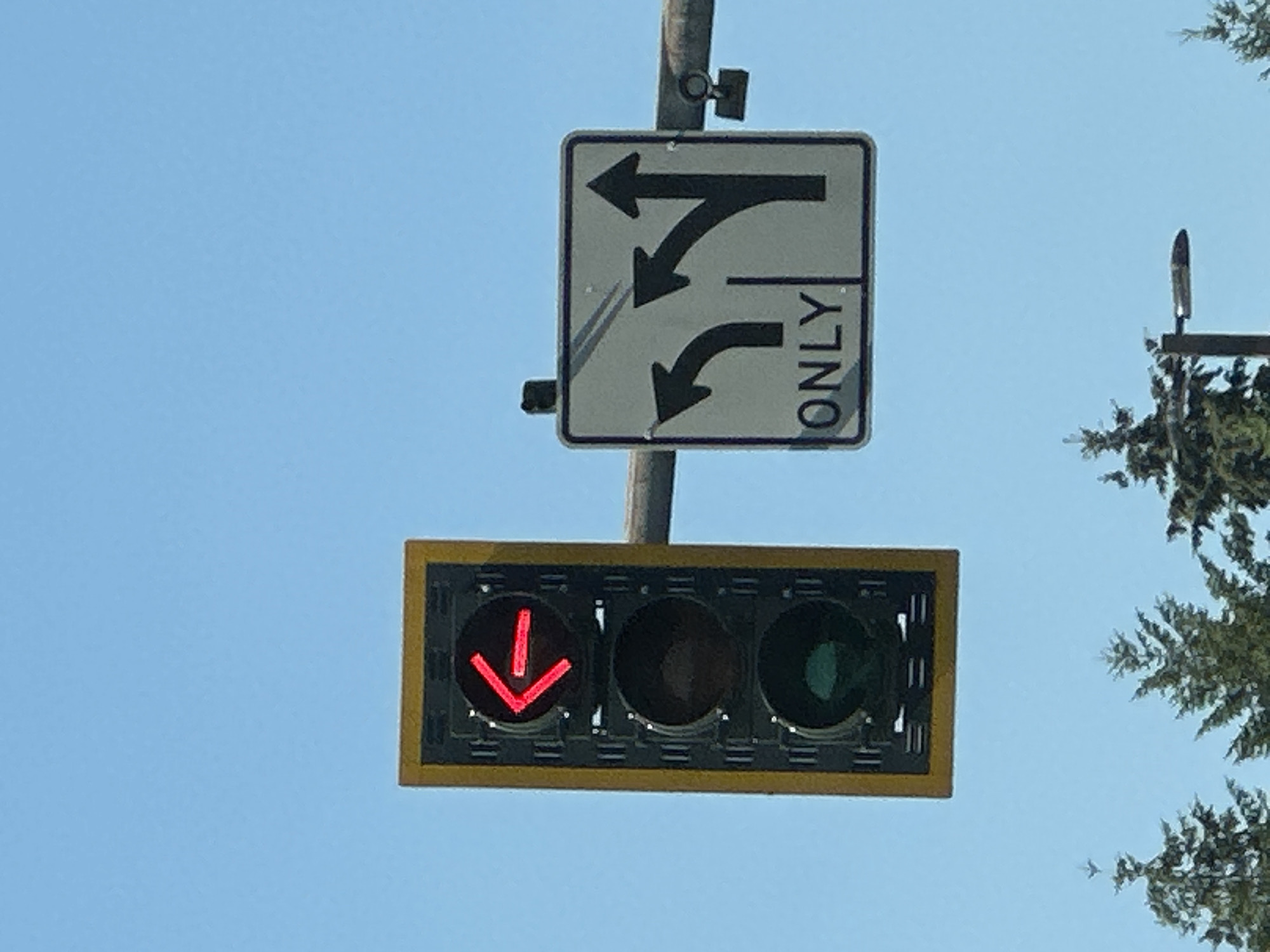 A traffic light with a red left-pointing arrow illuminated is seen against a clear blue sky in Lynnwood, United States of America. To the right of the traffic light, a square white sign with a black border displays three arrows: a left-pointing curved arrow on the left, an upward-curving arrow in the middle, and a straight upward arrow on the right. Below the arrows, the word "ONLY" is printed. A metal pole supports both the traffic light and the sign. In the background, the tops of evergreen trees are visible.