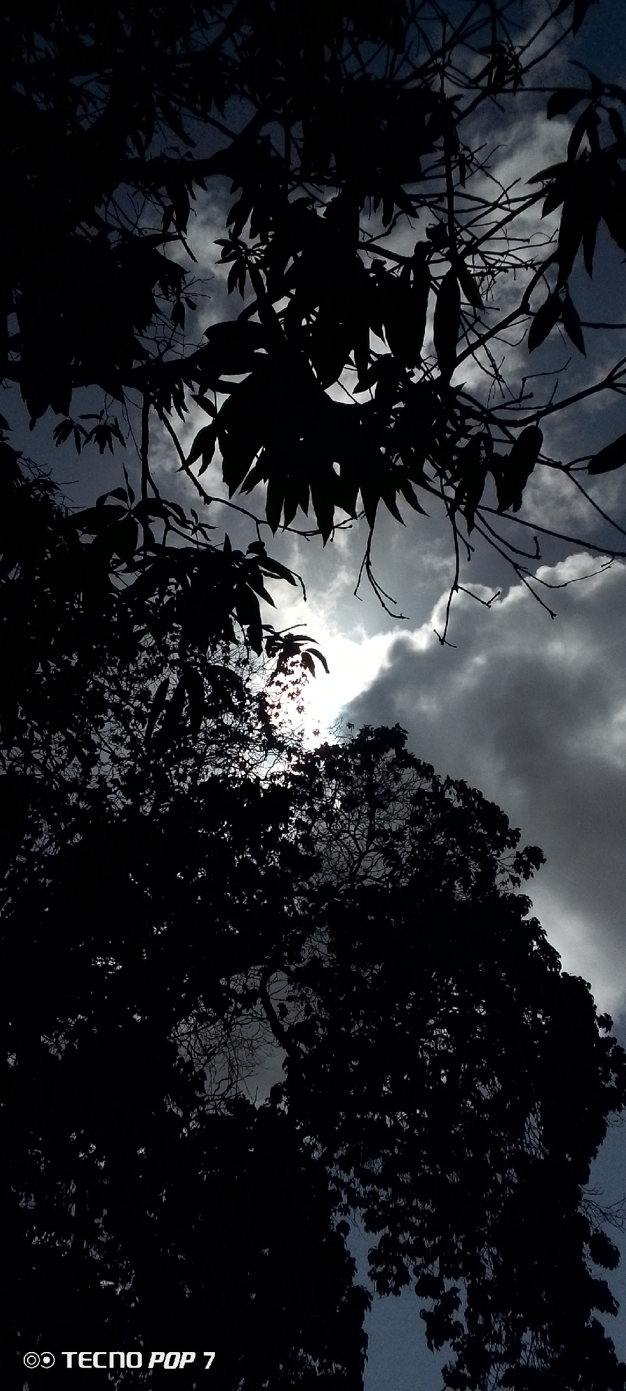 The image captures a silhouetted view of dense tree foliage against a dramatic sky filled with dark, swirling clouds. The sun attempts to break through the clouds, creating bright, diffused light in patches, particularly in the upper right quadrant and behind the leaves in the center. The foreground is dominated by the dark shapes of branches and leaves, suggesting a close-up perspective looking upwards. The lower left corner of the image contains a watermark that reads "TECNO POP 7". The scene appears to be outdoors, possibly in a natural or park-like setting within the city of Altagracia, Venezuela, given the metadata. There are no people or discernable actions visible in the image.