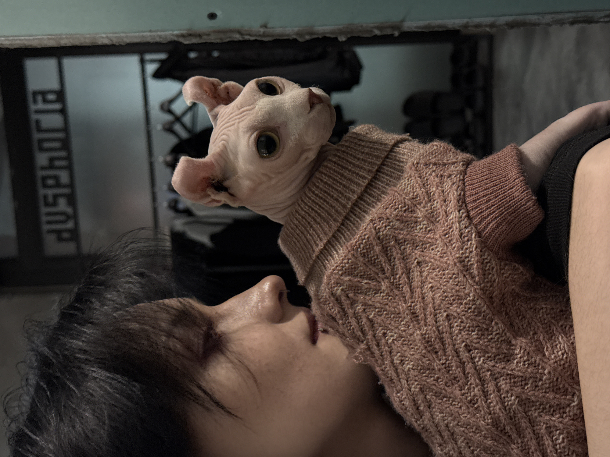 A woman with dark, short hair lies on her back, her face in profile. A hairless cat with large eyes and ears is perched on her chest, wearing a light brown sweater. The background is blurred, but a shelf with items and the word "Ausphoria" are visible. The location is not discernible from the image.