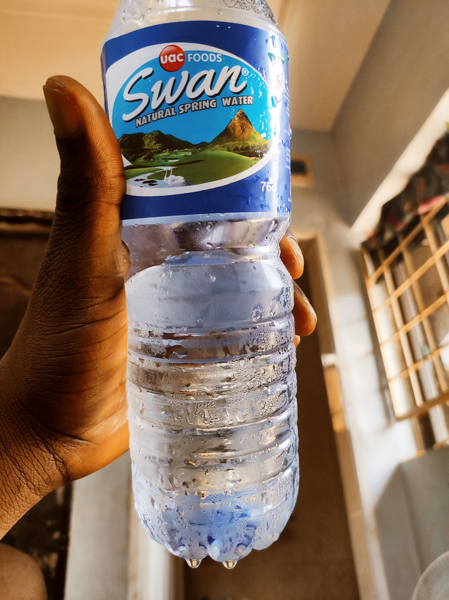 A dark-skinned hand is holding a bottle of Swan Natural Spring Water, which is cold and has condensation on it. The bottle's label shows a mountain landscape with a lake and swans. A few drops of water are dripping from the bottom of the bottle. The background is blurred, but the light suggests an indoor setting, possibly a room with a window visible. The location is Abuja, Nigeria.