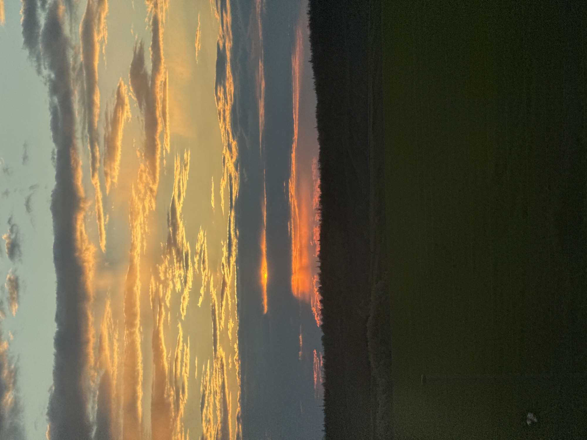The image captures a vibrant sunset or sunrise over a rural landscape in Krasnaya Zarya, Russia. The sky, occupying the upper two-thirds of the frame, is filled with dramatic, elongated clouds streaked with vivid hues of golden yellow and fiery orange, contrasting with darker grey cloud formations. The sun's intense light, a brilliant orange glow, is visible just above a distant, dark treeline that forms a horizontal silhouette across the middle of the image, marking the horizon.
Below the treeline, the foreground consists of a vast, dark field or open land, almost entirely obscured by shadows, appearing in shades of deep green and black. No specific details, structures, or activity are discernible on the ground, emphasizing the natural expanse. There are no people or prominent objects visible. The overall scene evokes a sense of tranquil natural beauty, with the dramatic sky being the focal point, suggesting a peaceful evening or morning in the countryside. No text is visible in the image.